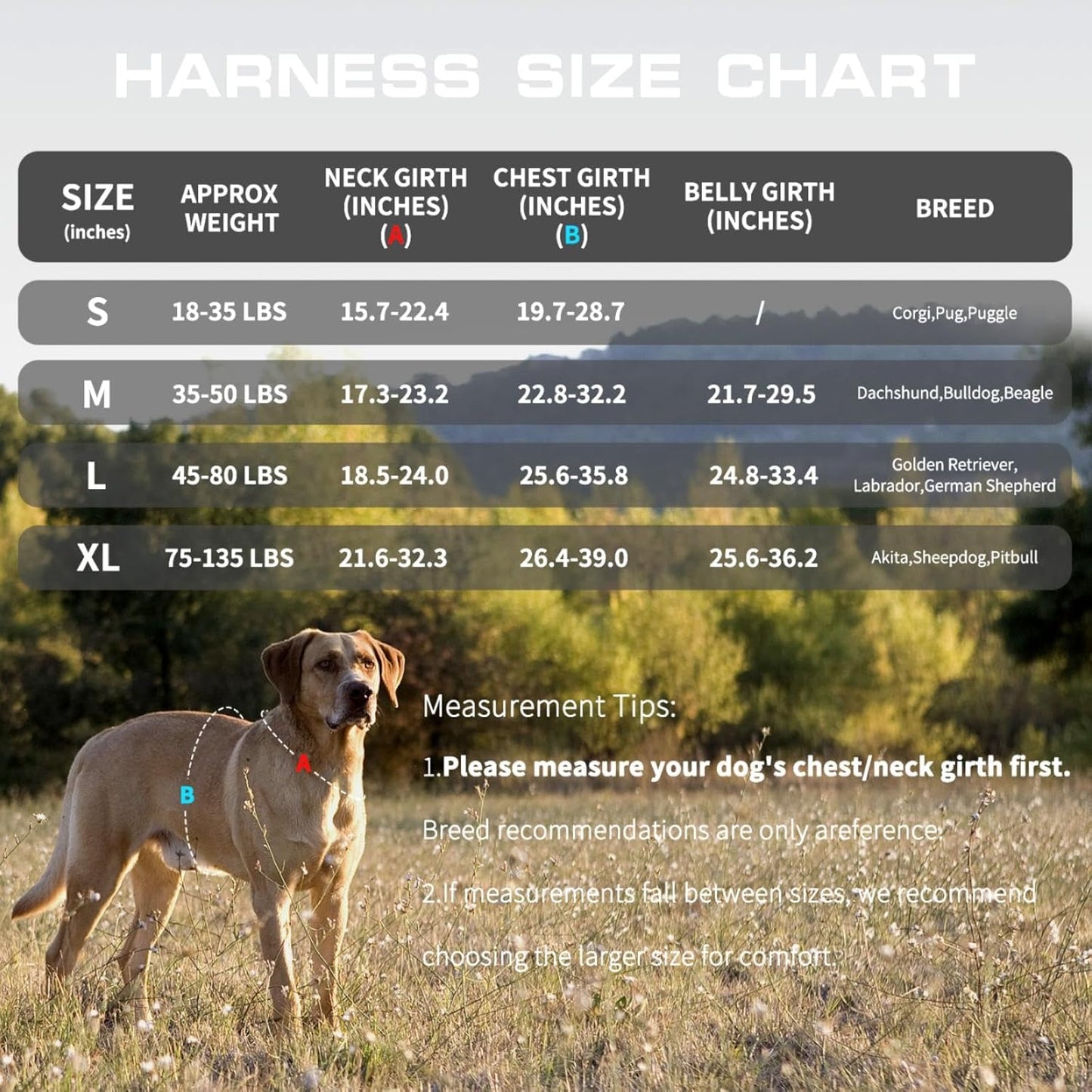 Dog Harness for Large Dogs Heavy Duty, No Pull Tactical Dog Harness with Molle System, Easy On and Off Service Dog Vest, Breathable Padded, Adjustable Reflective Pet Vest for Walking Hiking Training