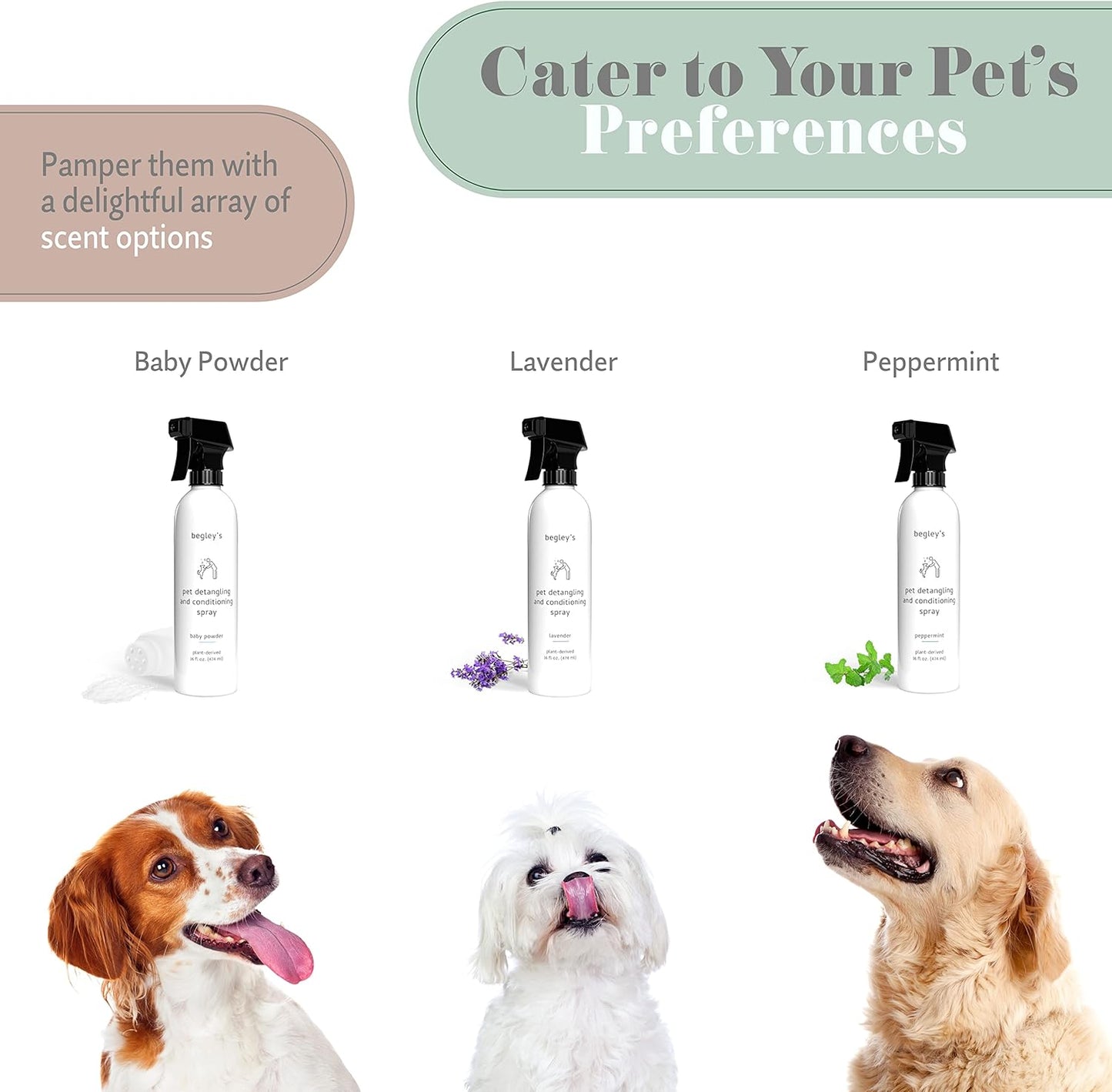Begley's Pet Detangling Spray - Premium Essential Oil Scented Detangler Spray for Dogs, Puppies & Cats - Dog Leave in Conditioner Spray - Dematting Spray for Dogs & Pets - 16 oz, Baby Powder