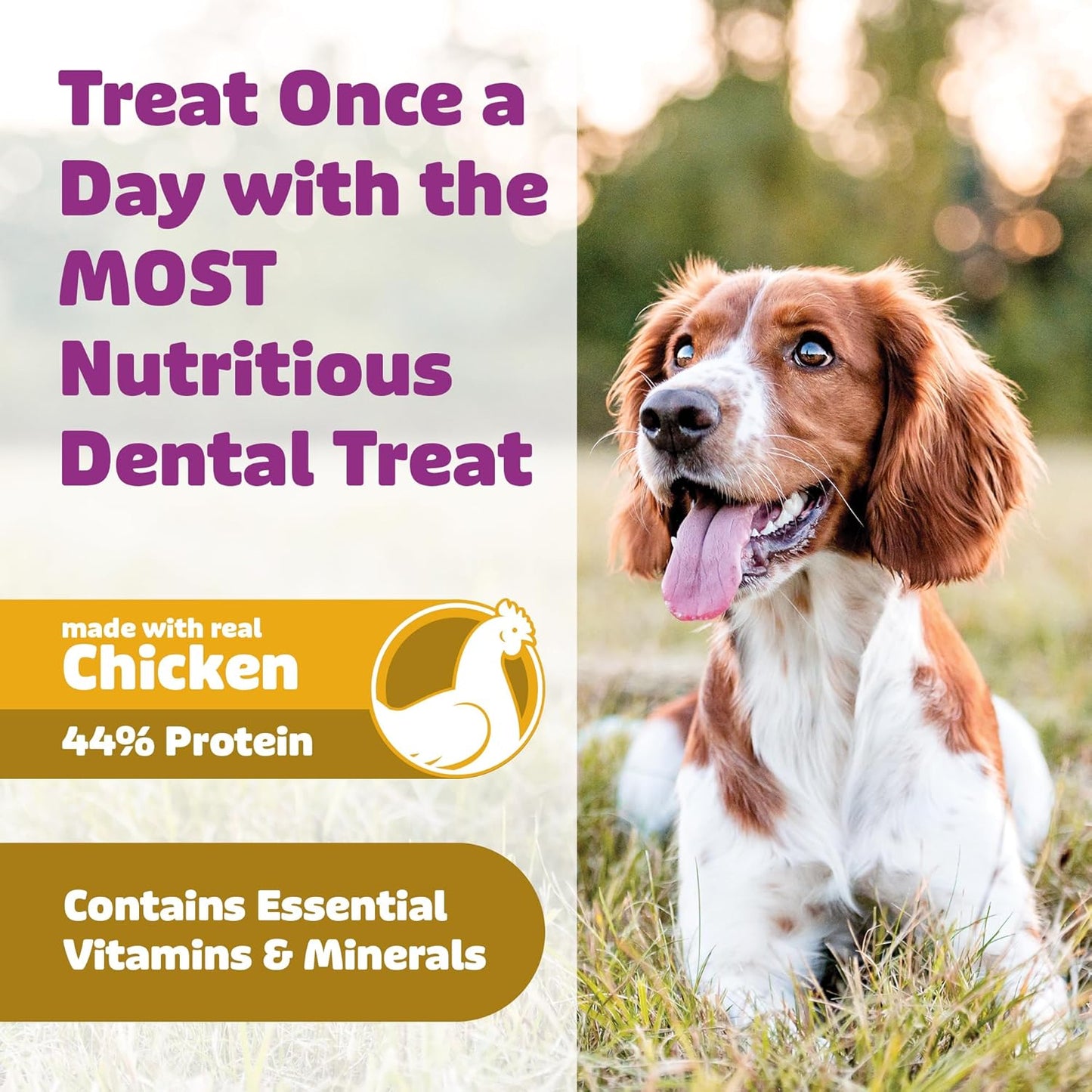Dog Dental Treats – Vet VOHC Approved – Delicious Chicken Protein – Removes Tartar with Cleaning Comb Shape – Dental Dog Treats for Medium Dogs (36oz, 45 Count)