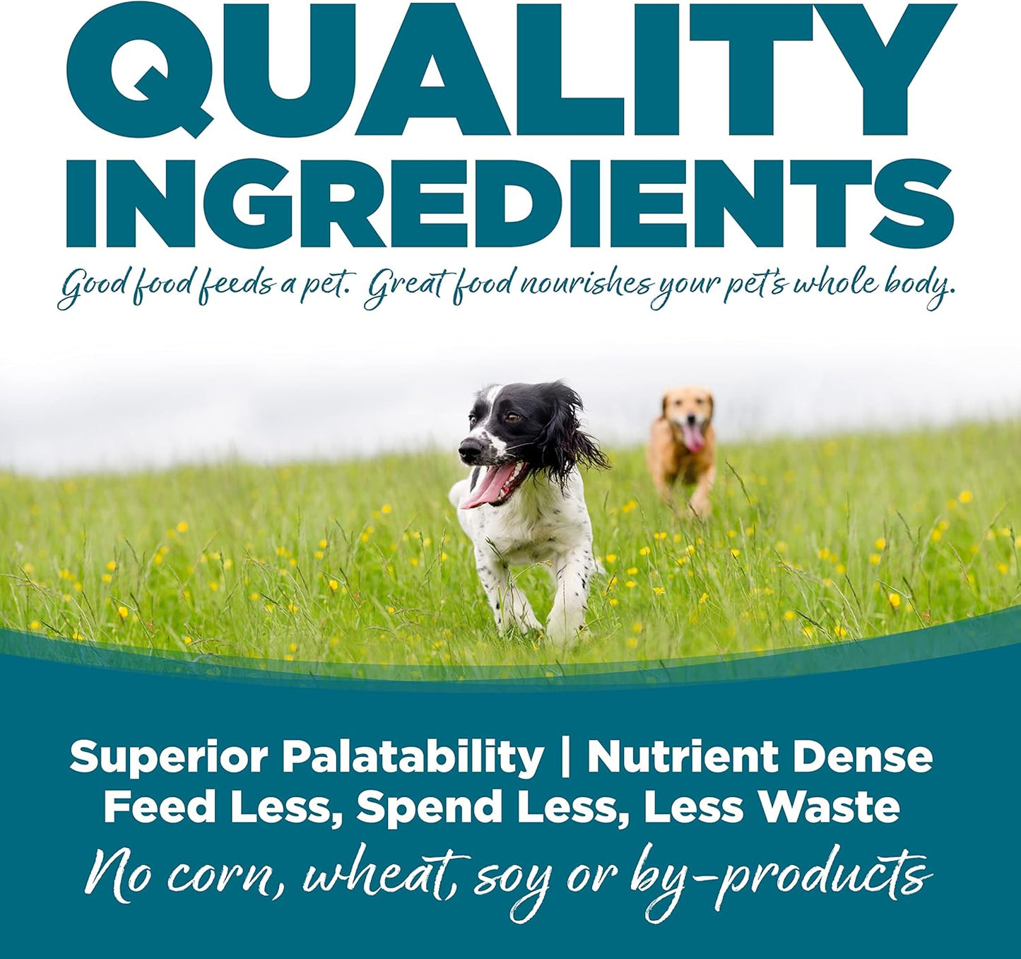 NutriSource Adult Chicken & Rice Small Bites Dog Food 15lb