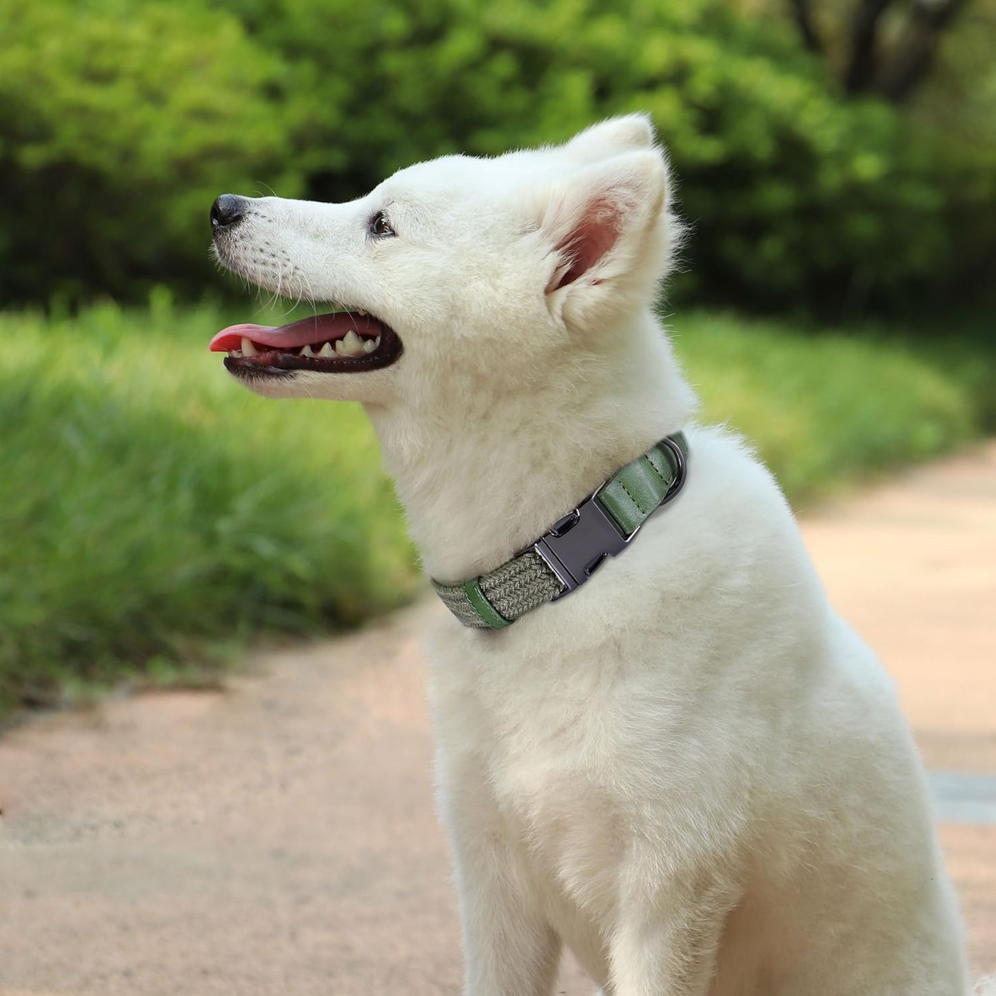 PET ARTIST Soft Cotton Dog Collar for Large Dogs in Stylish Green, Simple Dog Collar with Quick Release Metal Buckle & D Ring, L Size (15-23")