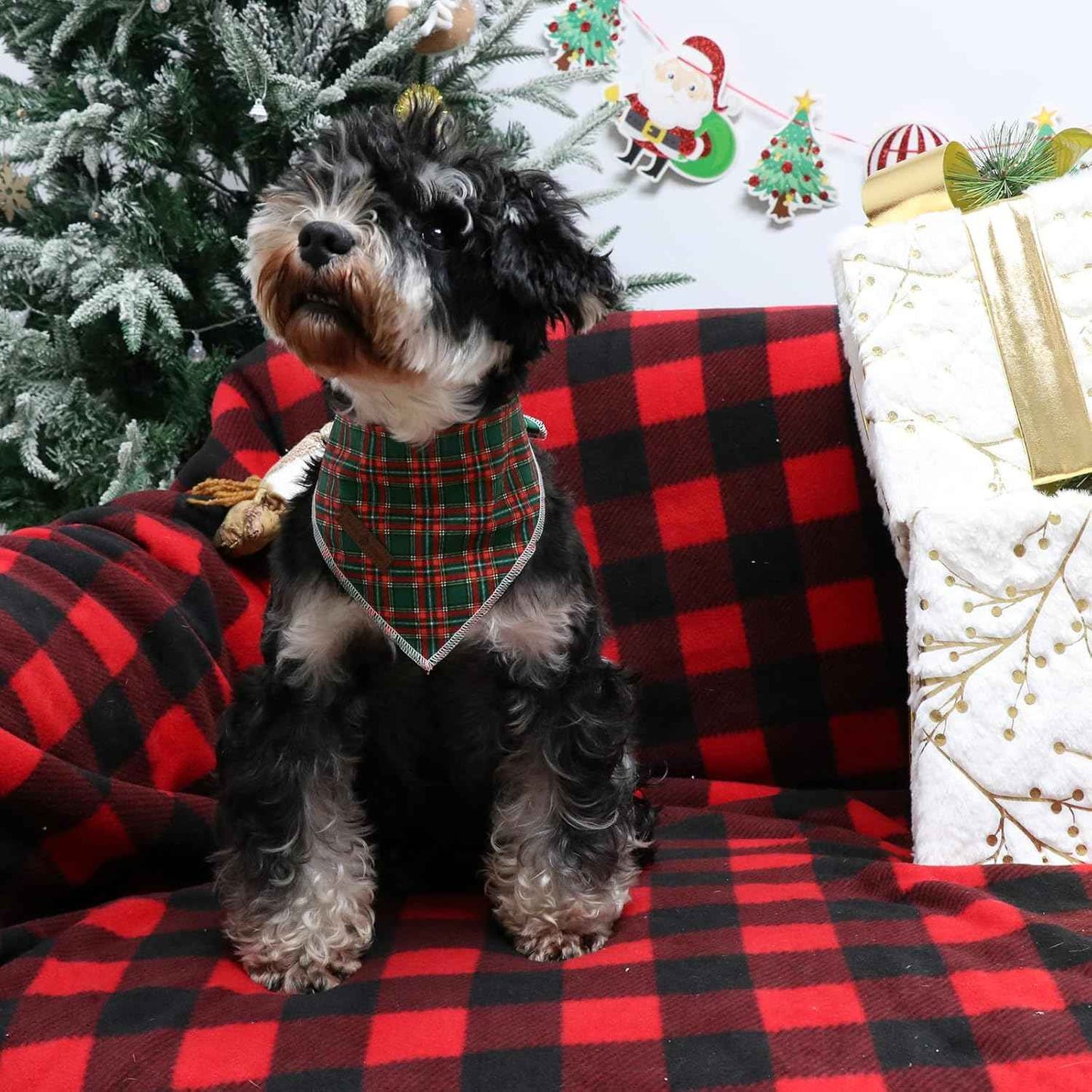 Lionet Paws Christmas Dog Bandana for Small Medium Dogs,Green Grid Dog Kerchief Washable Dogs Triangle Bibs Scarf for Girl or Boy