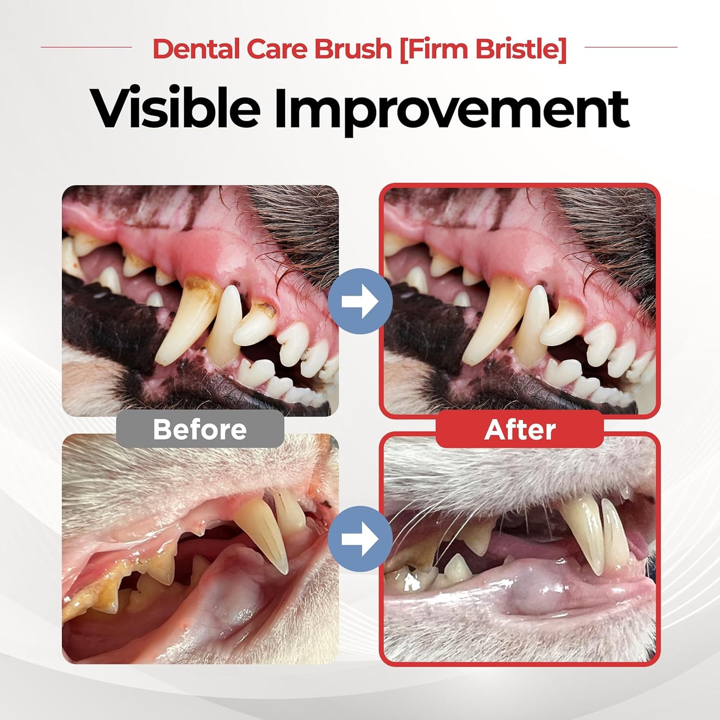 JAYU PET Dental Care Brush (Firm Bristles) 3ea - Resilient Dog Toothbrush, Cat Toothbrush for Tartar & Plaque Removal, Horizontal Head and S-Curved Body