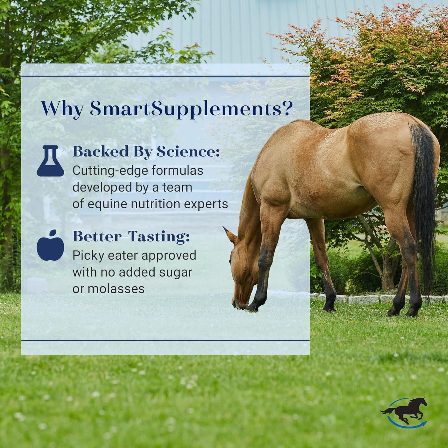 SmartCalm Ultra Paste Calming Horse Supplements | No Added Herbs or Sugar | Equine Supplement | Helpful with Skittish Horses | Pack of 6 Tubes
