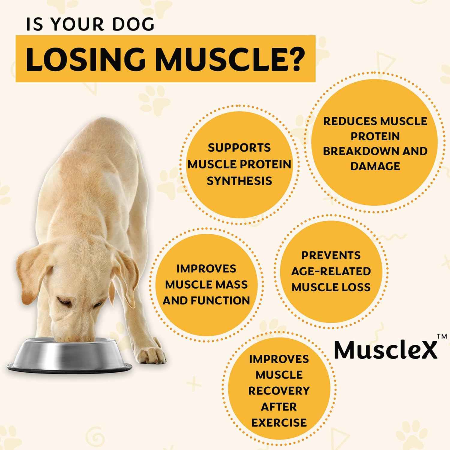 MuscleX™ Canine Muscle Formula Dogs with CaHMB 500 mg and Vitamin D3 - Natural Muscl Building Formula - Helps Reduce Muscle Loss Due to Normal Aging and Improves Recovery from Injury (90 Capsules)