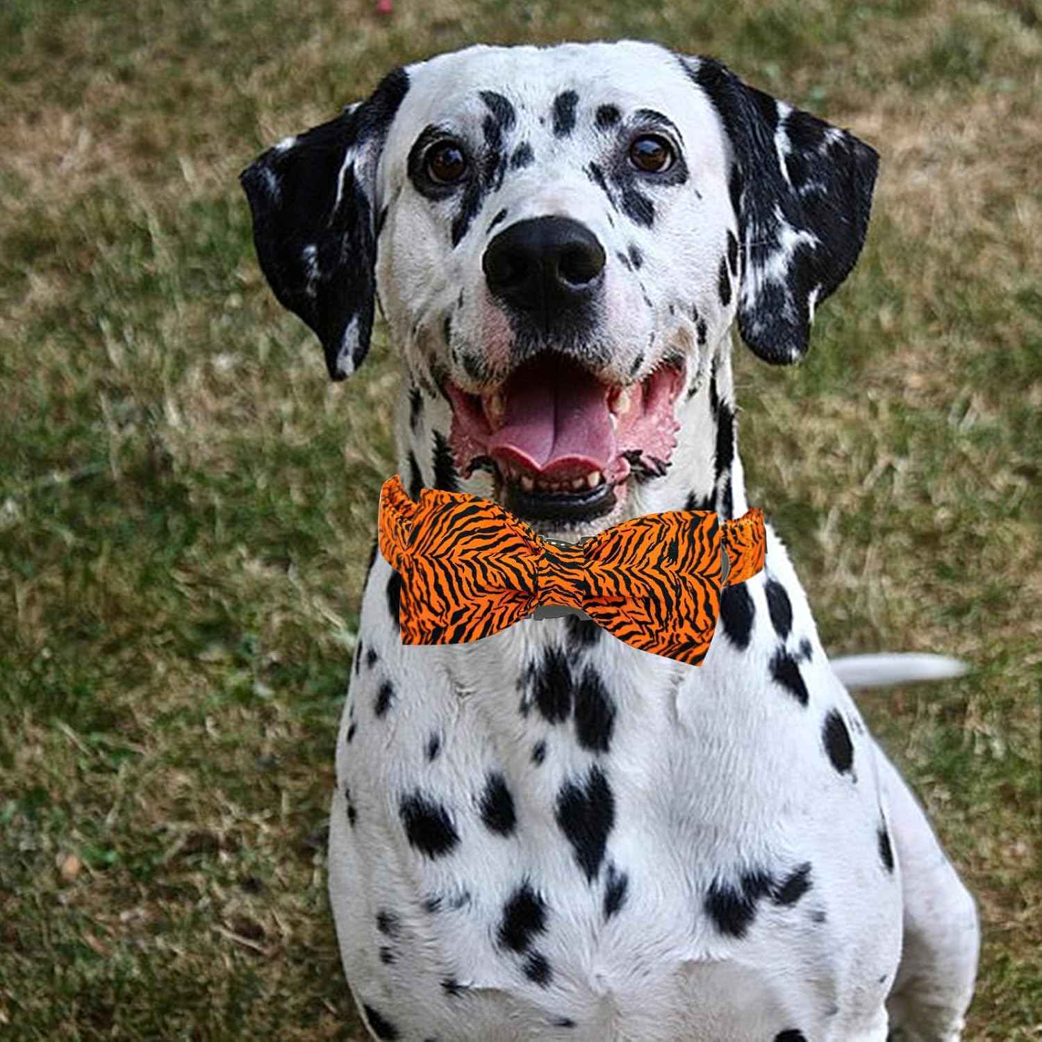 Elegant little tail Dog Collar, Tiger Print Pet Collar Fashion Boy Dog Collars Durable Metal Buckle Dog Collars Cotton Pet Adjustable Dog Collars for X-Large Dogs