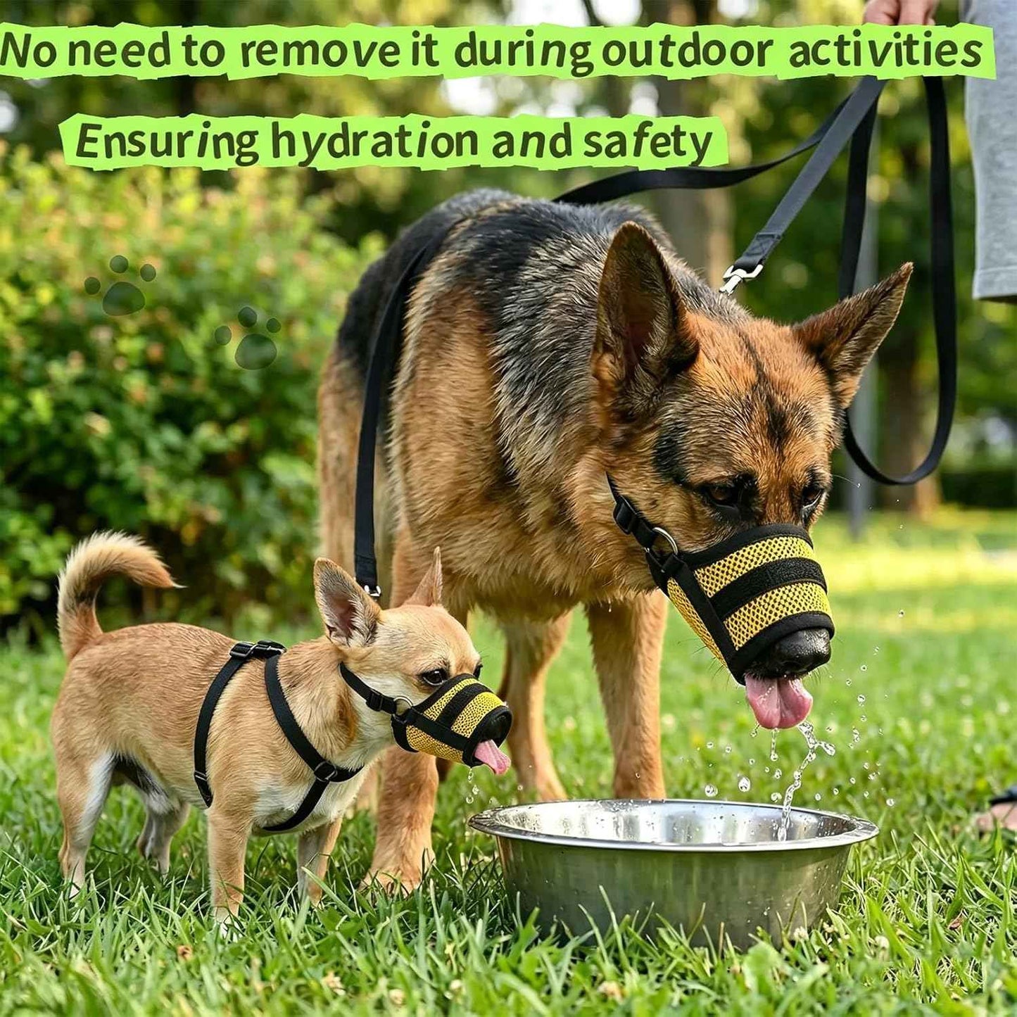 Dog Muzzle,Breathable Allows Panting and Drinking,Adjustable Comfortable Loop Muzzle for Small Medium Large Dogs for Walking Training Grooming Veterinary (Yellow, M for Medium Dogs)