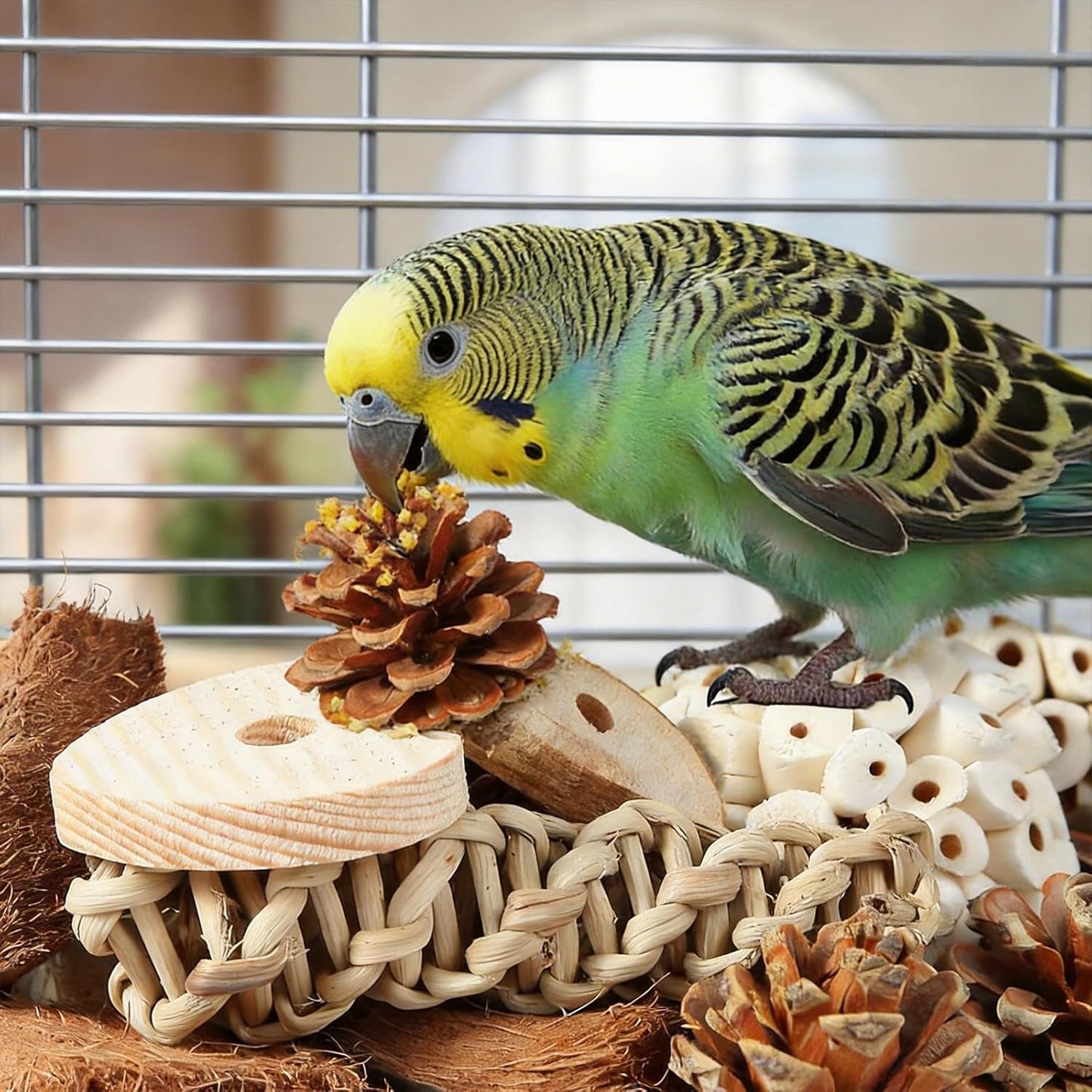 Bird Parrot Toy, Natural Bird Foraging Toy, Suitable for Cockatiels, Lovebirds, budgerigars, Small to Medium-Sized Birds (Large Size)
