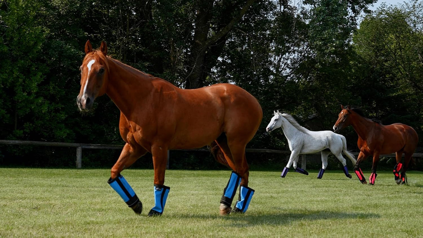 Warrior Fly Boots for Horses - Breathable Mesh Horse Boots for Fly Protection & Leg Comfort - Set of 4 (The Warrior, Neon Pink)