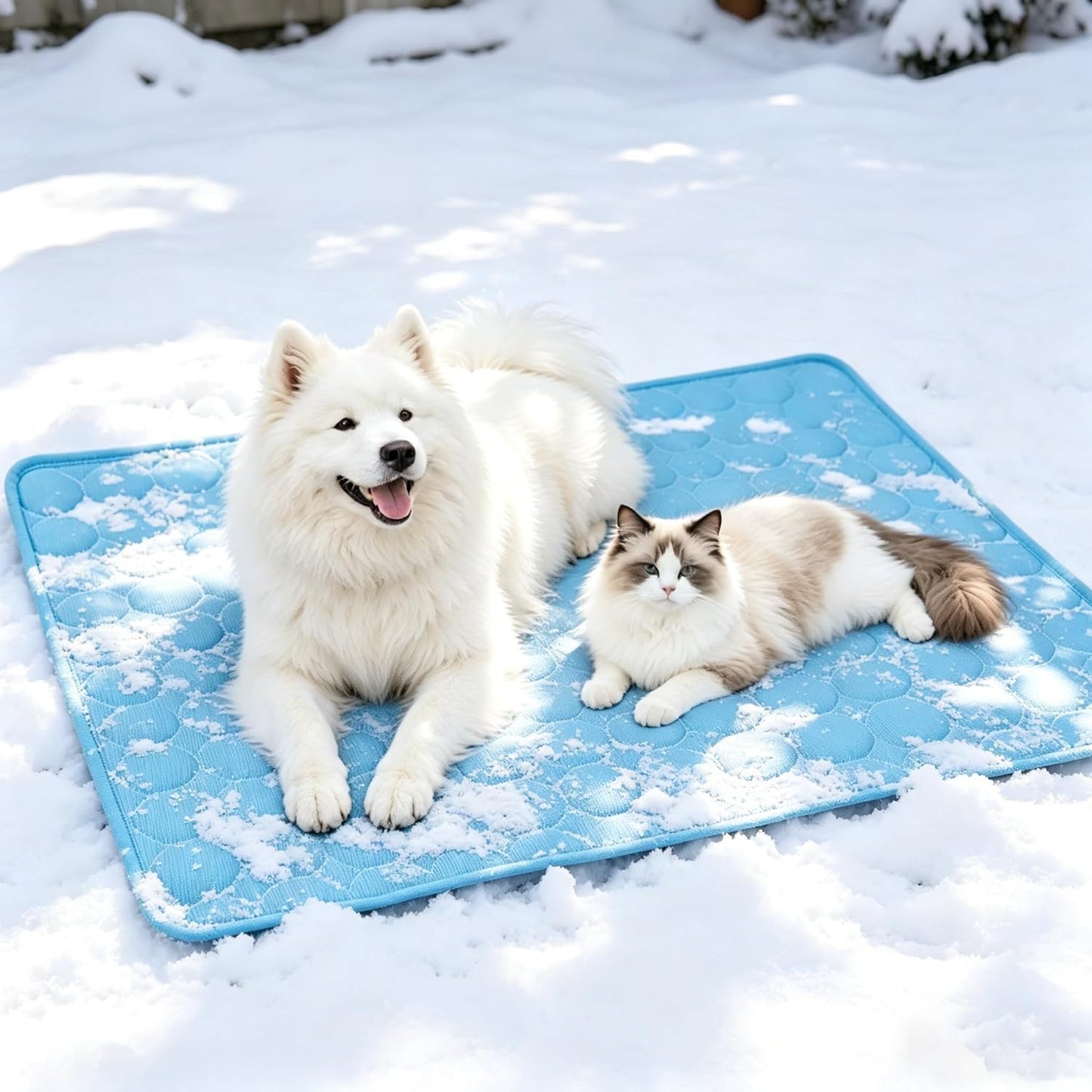 Cooling Mat for Dogs, Breathable Dog Cooling Mat with Q-Max>0.4 Chill Fiber, Washable Portable Dog Crate Pad for Indoor & Outdoor Summer Use, 24" x20“, Blue
