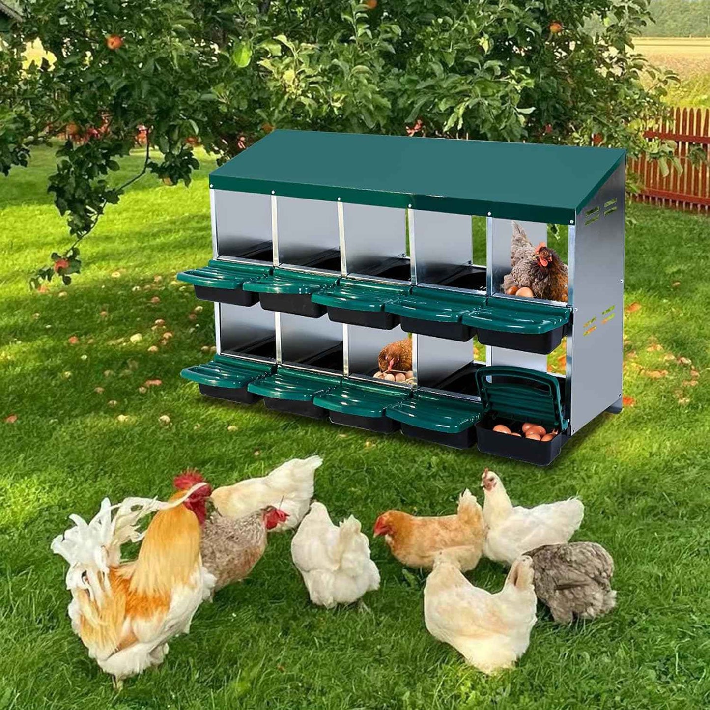 Garvee Chicken Nesting Boxes, 10 Hole Metal Chicken Laying Box with Removable Trays and Roll Out Egg Collection for Chicken Coop, Green