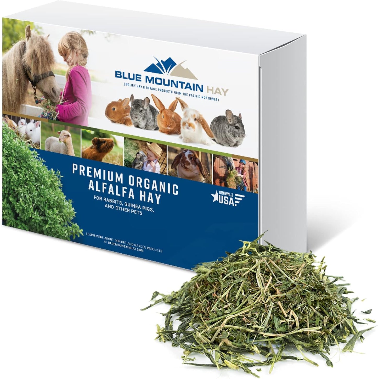 Blue Mountain Hay High-Altitude Hay - Organic Alfalfa, 10lb - High Protein, Fiber & Mineral-Rich - Soft, Leafy, High Leaf Retention - Ideal for Goats, Rabbits, Guinea Pigs & Other Small Animals