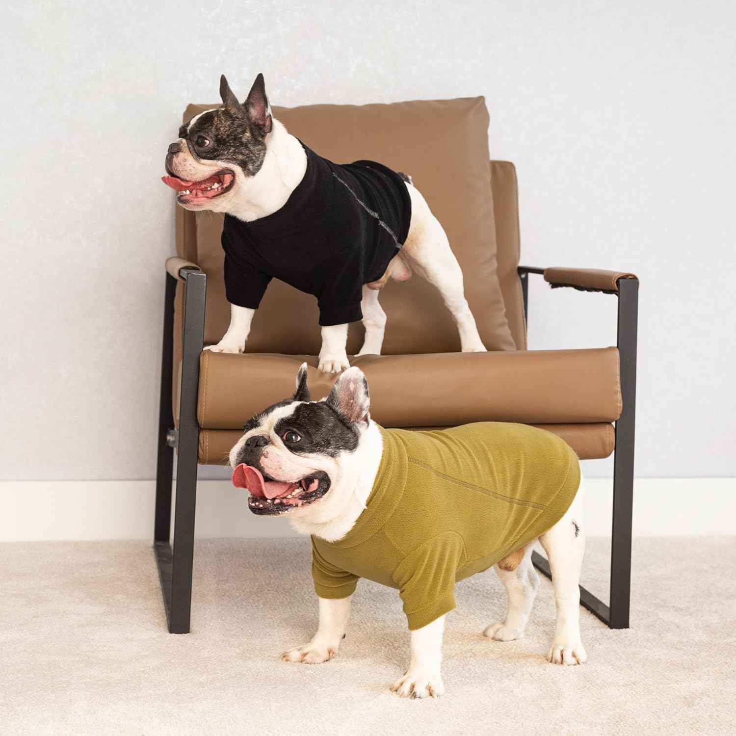 Fitwarm 3 Pack Classic Fleece Dog Sweater, Winter Clothes for Small Dogs Boy Girl, Turtleneck Dog Sweatshirt, Pet Pullover Jumper, Cat Apparel, Black, Olive Green, Cream, XXL