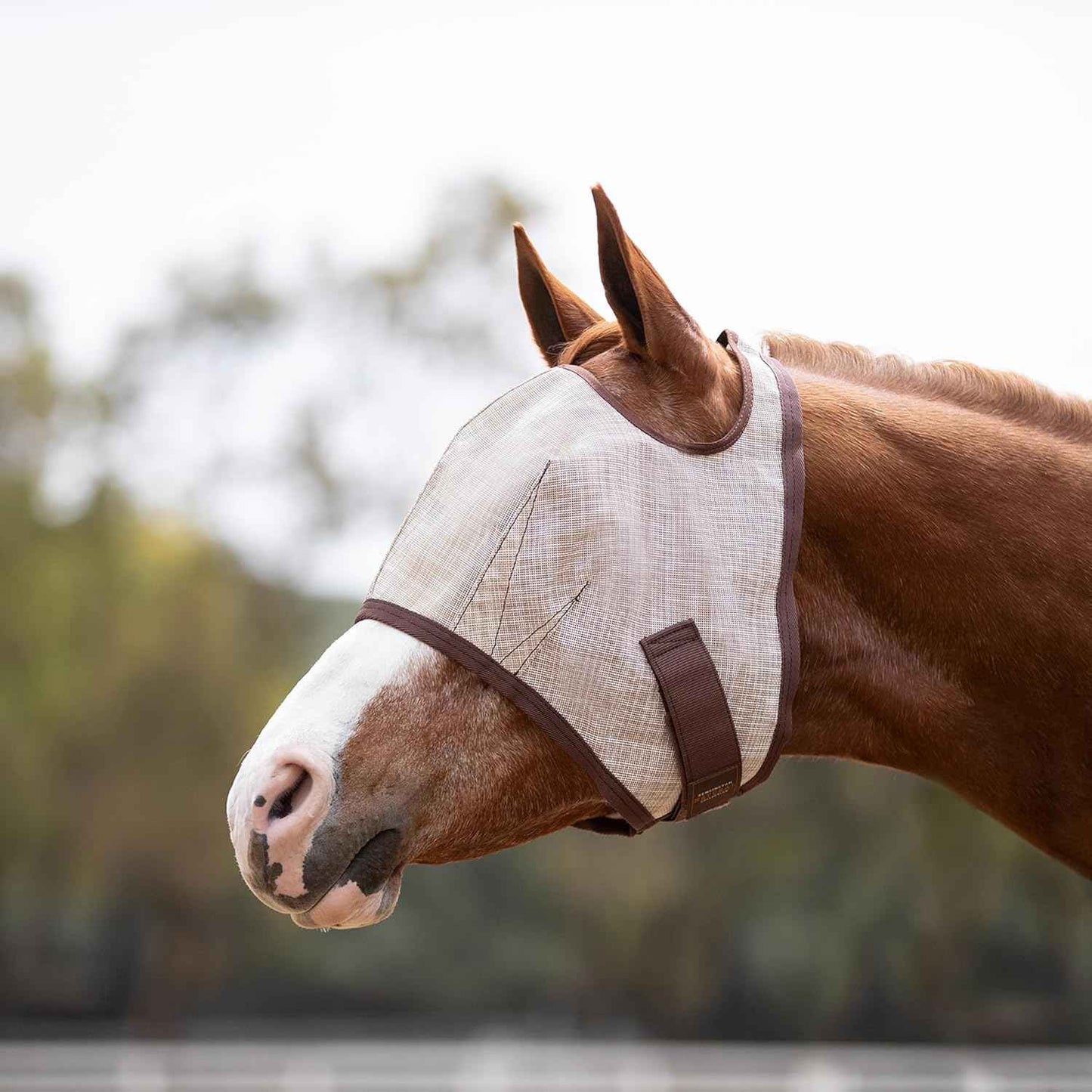 Kensington Fly Mask Web Trim Protects Horses Face and Eyes from Bites and Sun Rays While Allowing Full Visibility Ears and Forelock Able to Come Through The Mask, X-Large, Desert Sand