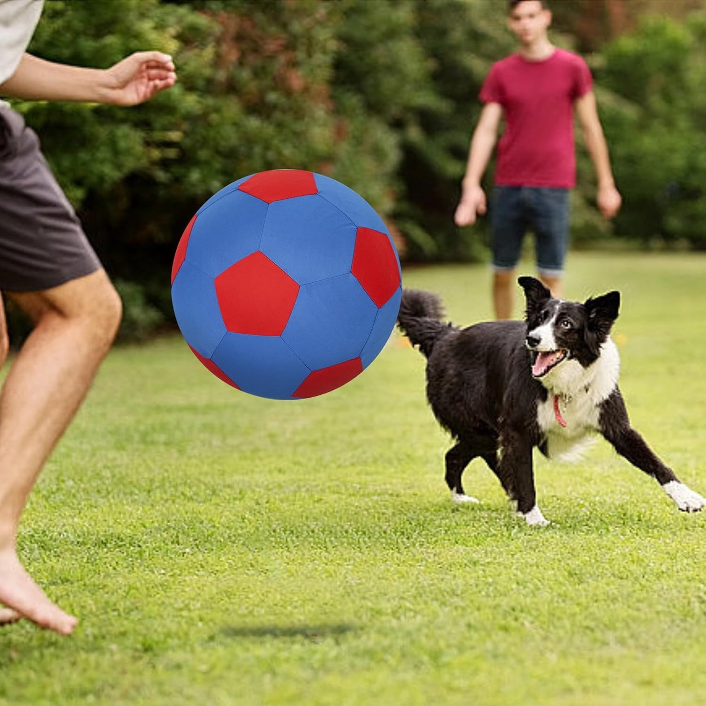 Herding Ball for Dogs & Horses - 20" Ball with Hand Pump - Blue & Red