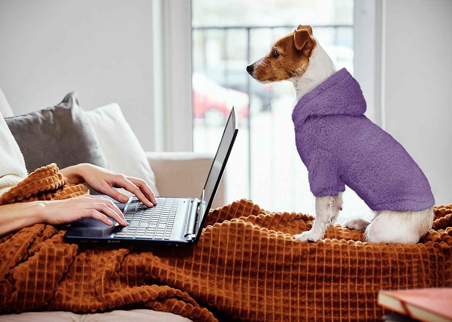 Fuzzy Dog Sweaters for Small Dogs Dog Hoodie Pet Clothes Warm Soft Cozy Coats Hooded Sweatshirt Fleece Small Pet Hoodies Sweater(Purple-S)