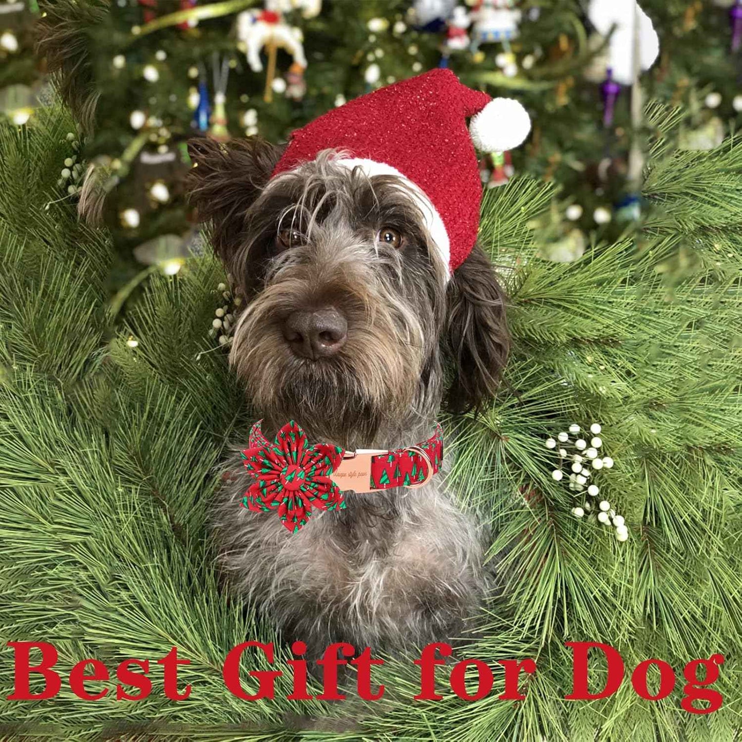 Unique style paws Christmas Dog Collar with Flower Best Winter for Small Medium Large Dogs -Christmas Tree-XS