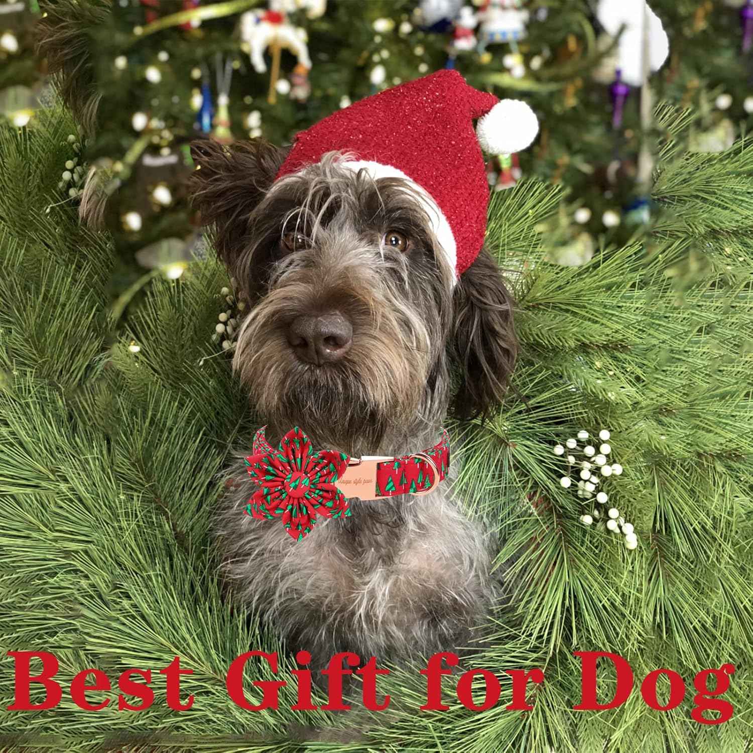 Unique style paws Christmas Dog Collar with Flower Best Winter for Small Medium Large Dogs -Christmas Tree-XS