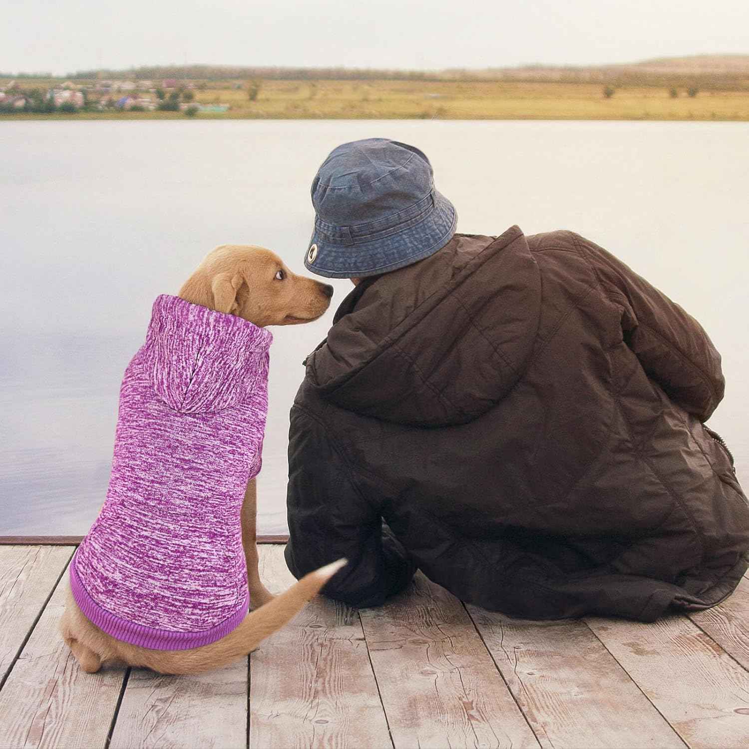 Dog Sweaters for Medium Dogs Dog Hoodie Fleece Dog Sweater Soft Dog Clothes Sweatshirt with Pocket Dog Hoodie for Medium Dogs(Purple&M)