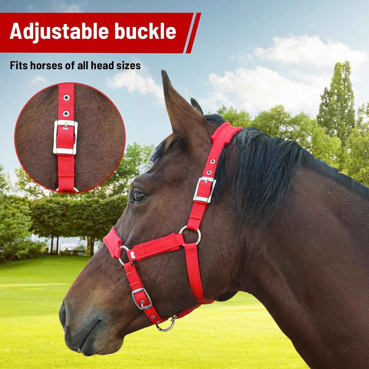 Adjustable Horse Halter with Fleece Padding, Available in Black, Red, Blue
