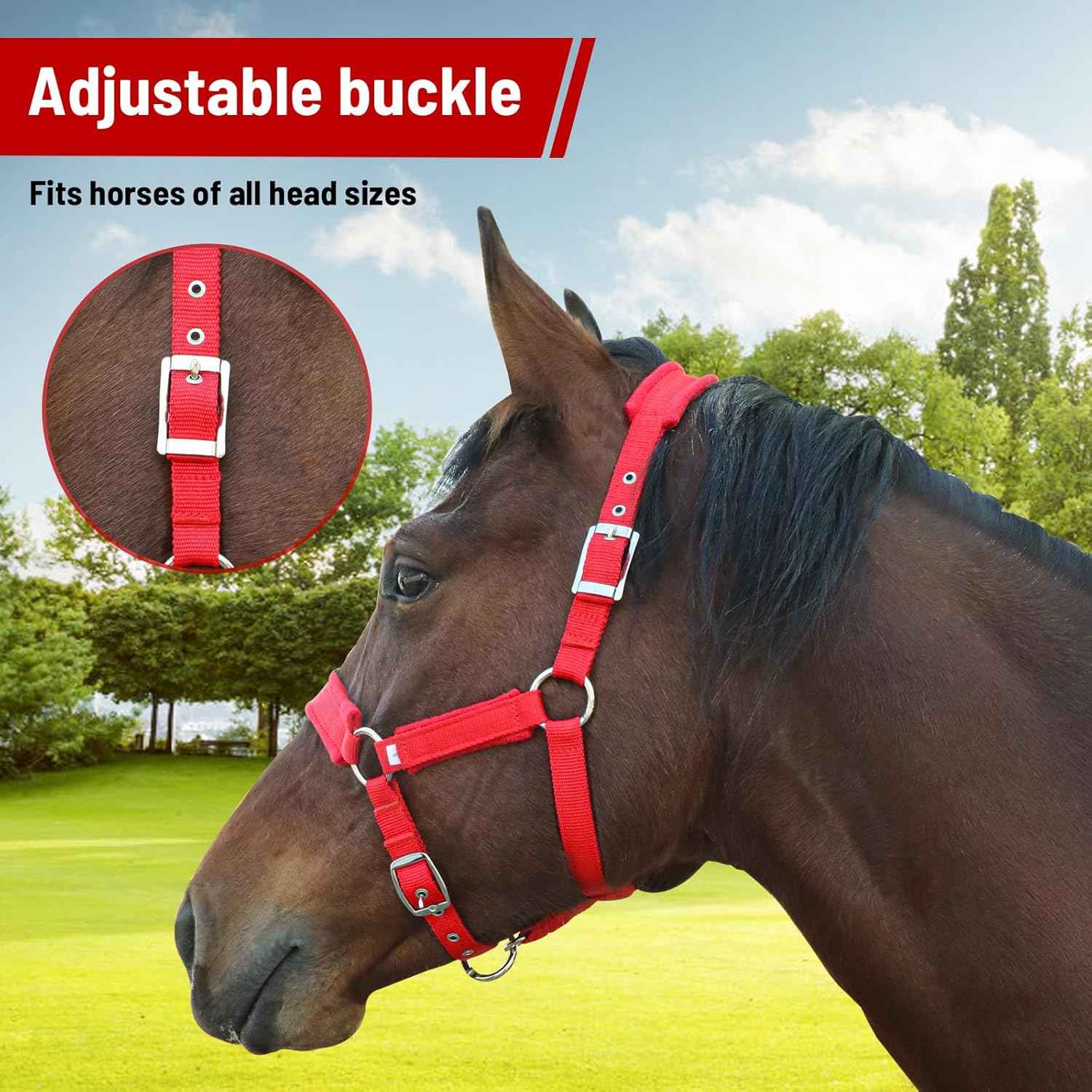 Adjustable Horse Halter with Fleece Padding, Available in Black, Red, Blue