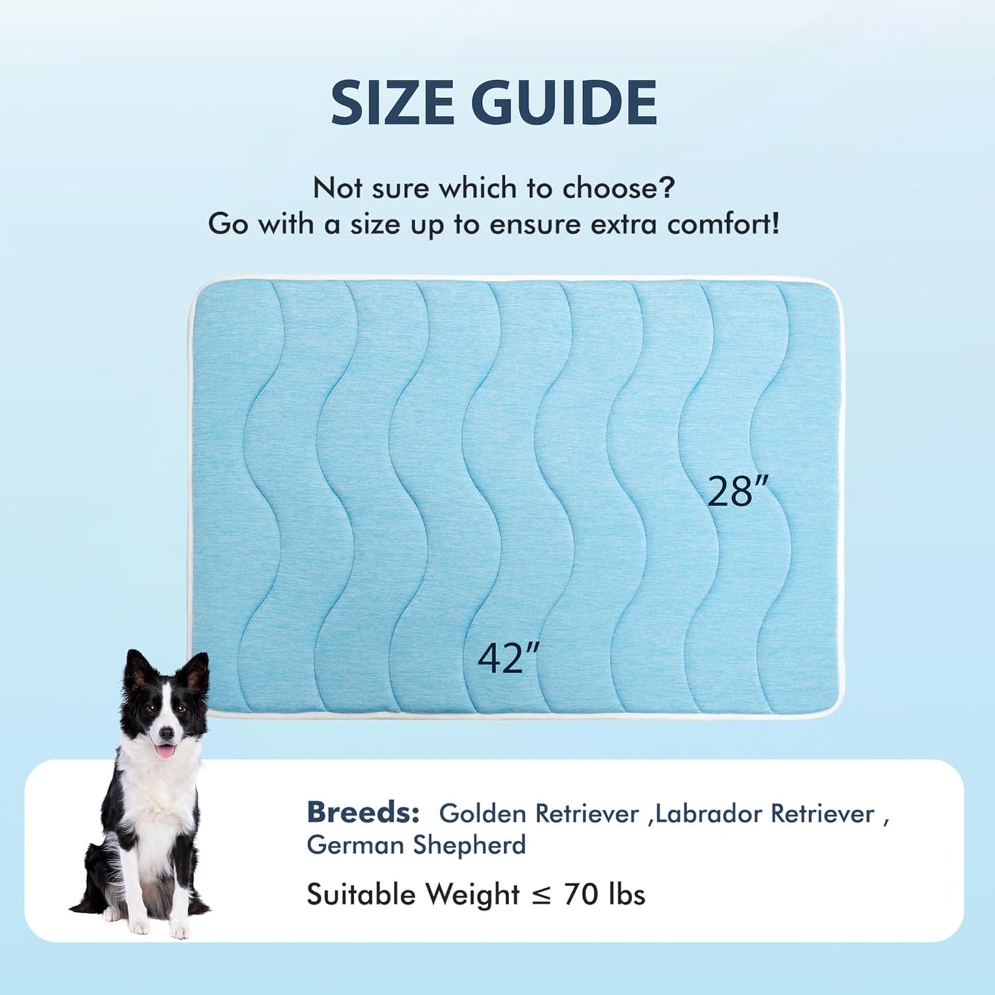 MICROCOSMOS 0.8" Thick Cooling Dog Foam Pad & Summer Pet Sleeping Mat, Machine Washable, Materials Safe, Portable Flat Pet Bed for Dogs.(Sky Blue, 42" x 28")