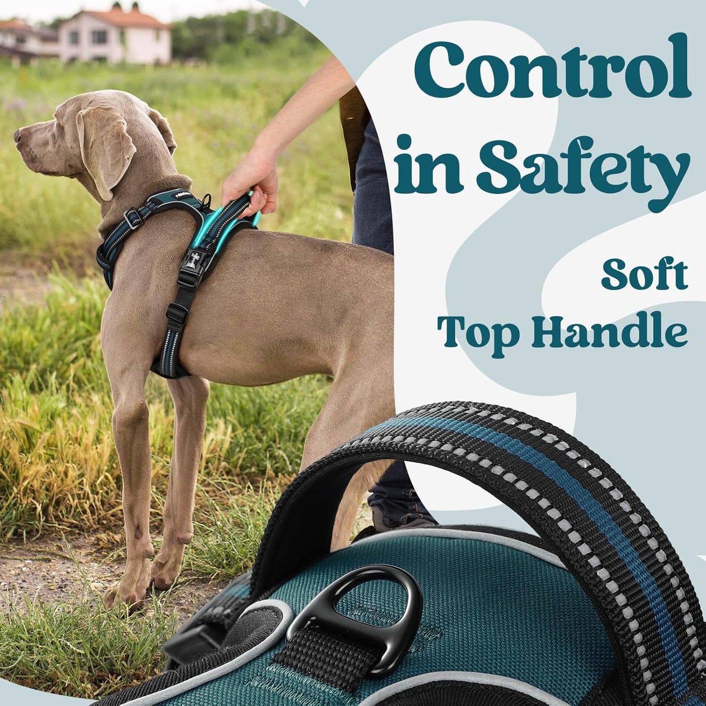 rabbitgoo Dog Harness Small Sized, No Pull Pet Harness with 3 Buckles, Adjustable Soft Padded Vest with Control Handle, Walking Reflective Pet Vest for Small Dogs, Blue Coral, S