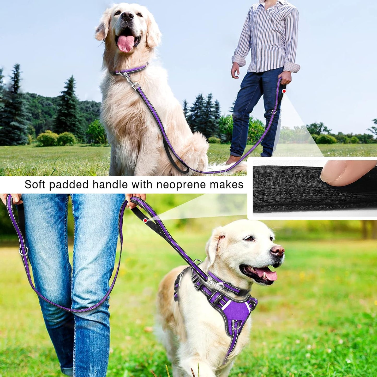 WINSEE Pet Harness Collar and Leash Set, All-in-one Reflective Dog Harness No Pull with Adjustable Buckles for Puppies, Small, Medium, Large, and Extra-Large Dogs (X-Large, Purple)