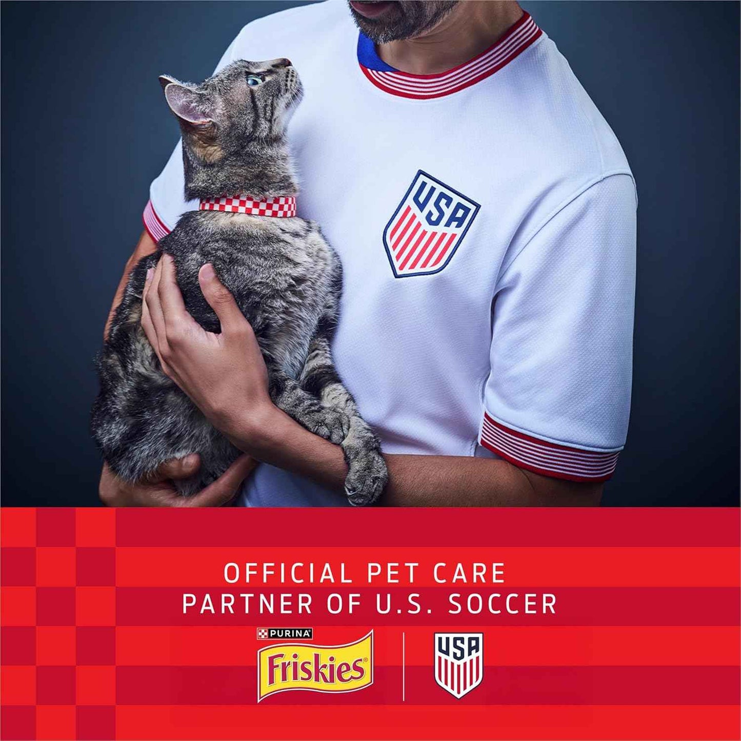 Purina Friskies Wet Cat Food Variety Pack, Oceans of Delight Flaked and Prime Filets - (Pack of 40) 5.5 oz. Cans