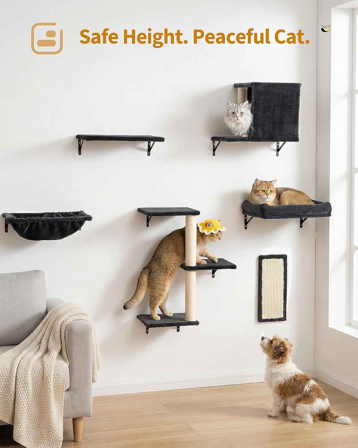 Aechonow Heavy Duty Cat Wall Shelves for Large Cats, 6-in-1 Cat Furniture Set with 17" × 11.9" Large Perch Bed and Hammock, Cat Climbing Wall Systems with Vertical Cat Scratcher
