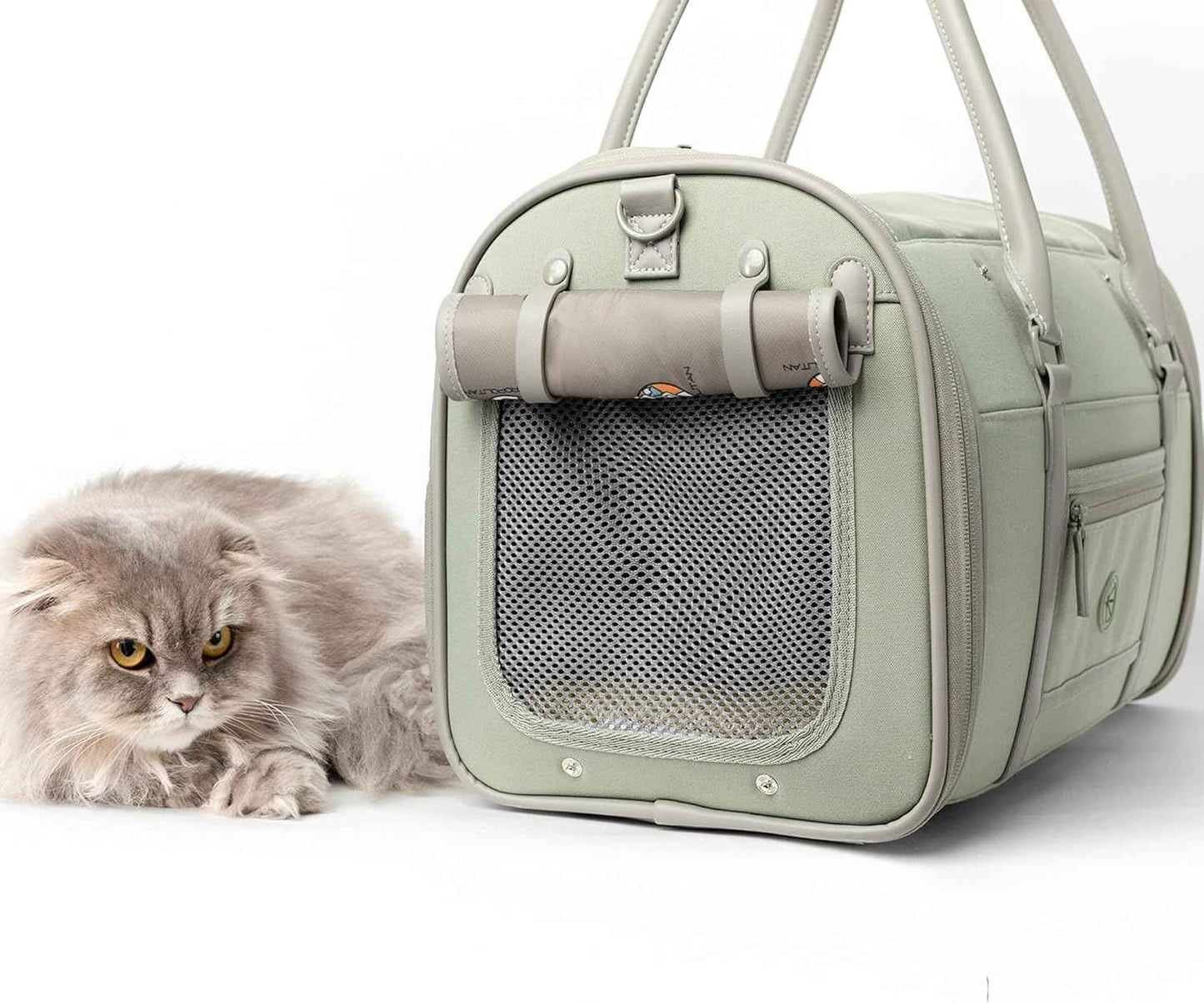 Soft-Sided Pet Carrier for Cats and Small Dogs – Stylish, Airline-Approved Travel Bag with Mesh Ventilation, Collapsible, Removable Pad and Safety Leash, Fits up to 16 lb