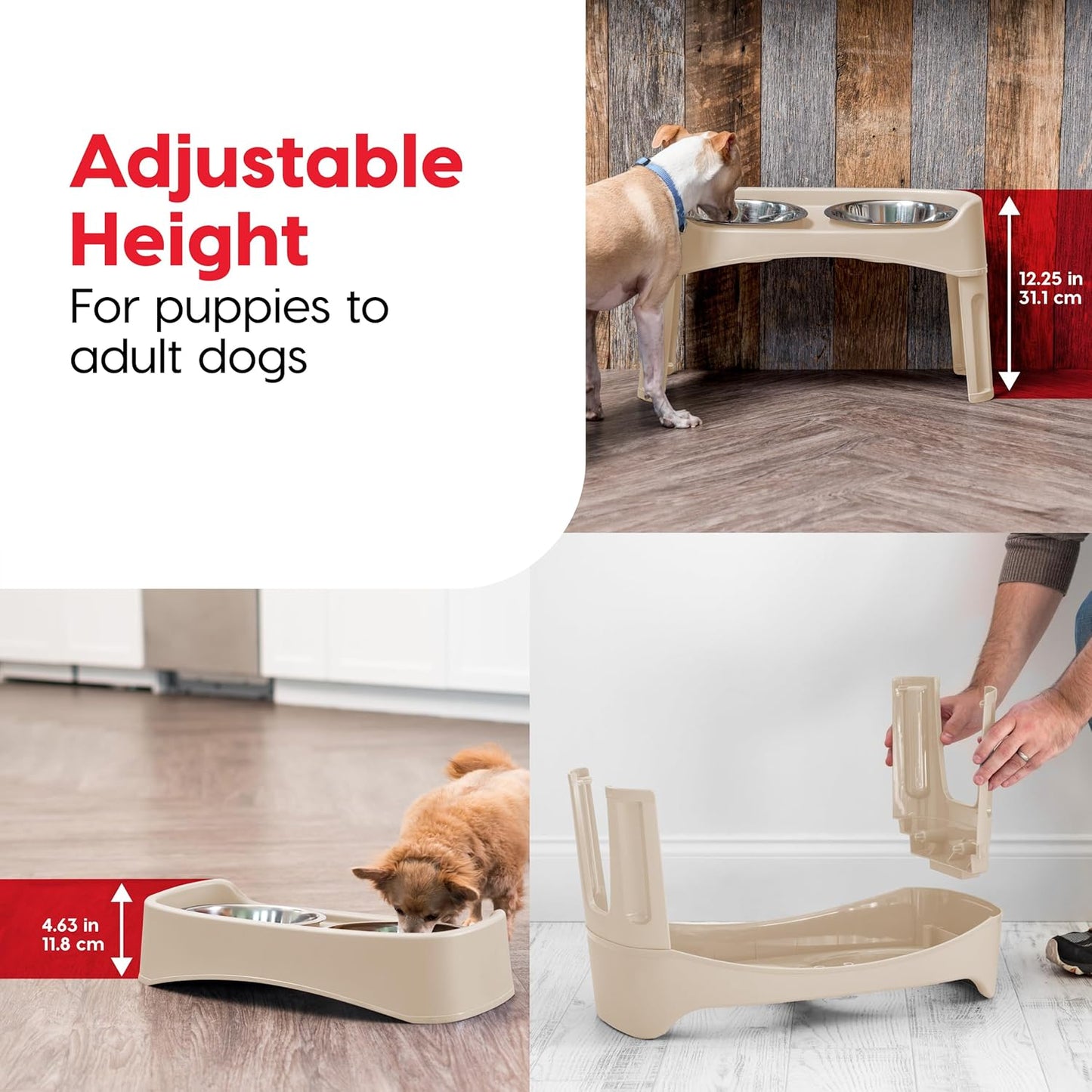 IRIS USA Elevated Dog Bowls, Adjustable Height, 2 Thick 64 oz Stainless Steel Bowls, Spill-Proof with Raised Outer Rim, Durable Made in USA Plastic, Easy Assemble, 2 Heights 4.63" or 12.25" Almond