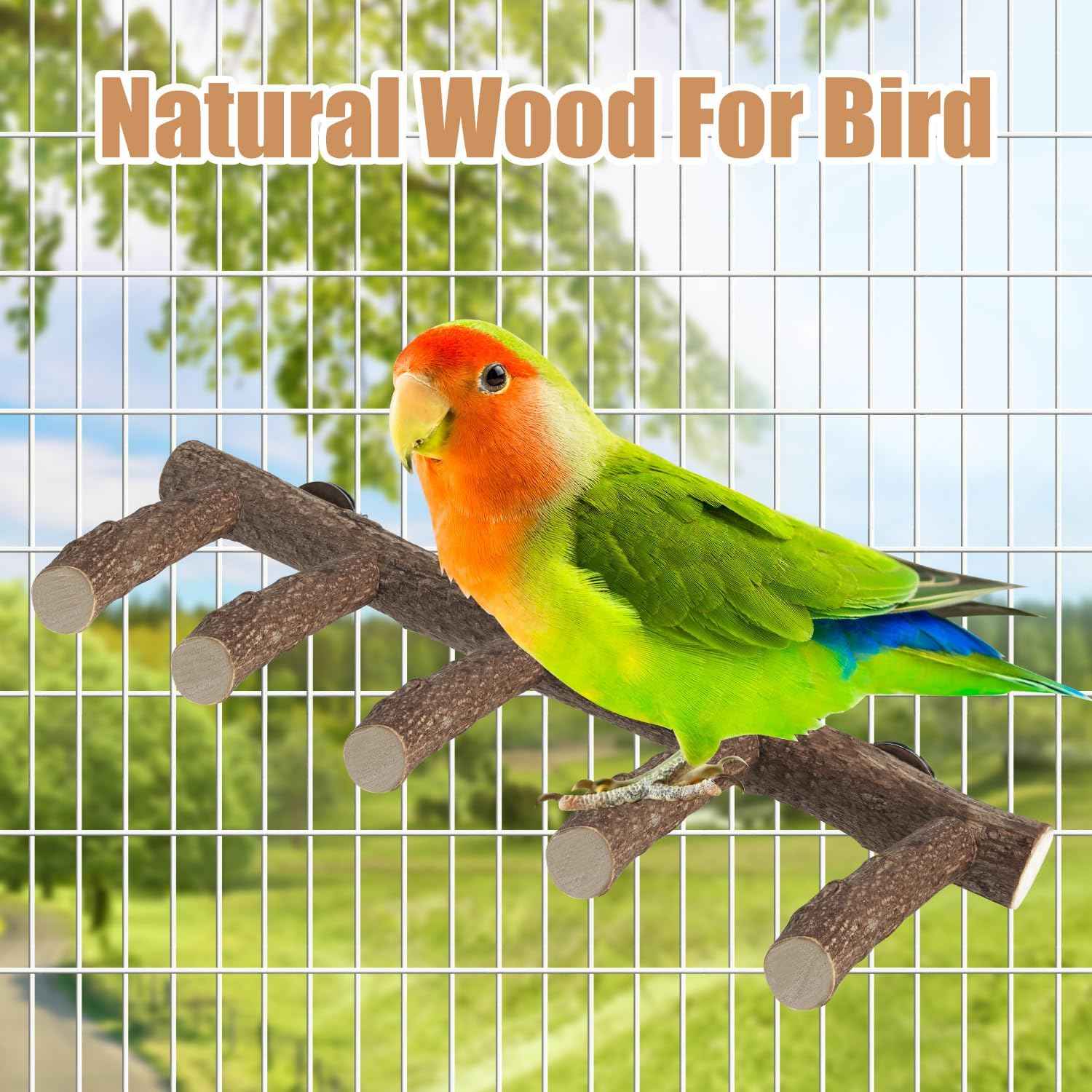 Parrot Wood Stand, Parrots Perch for Cage, Natural Bird Ladder for Small Medium Parrot, Parakeets, Cockatiels, Conures, Hamster(12.2 inch)