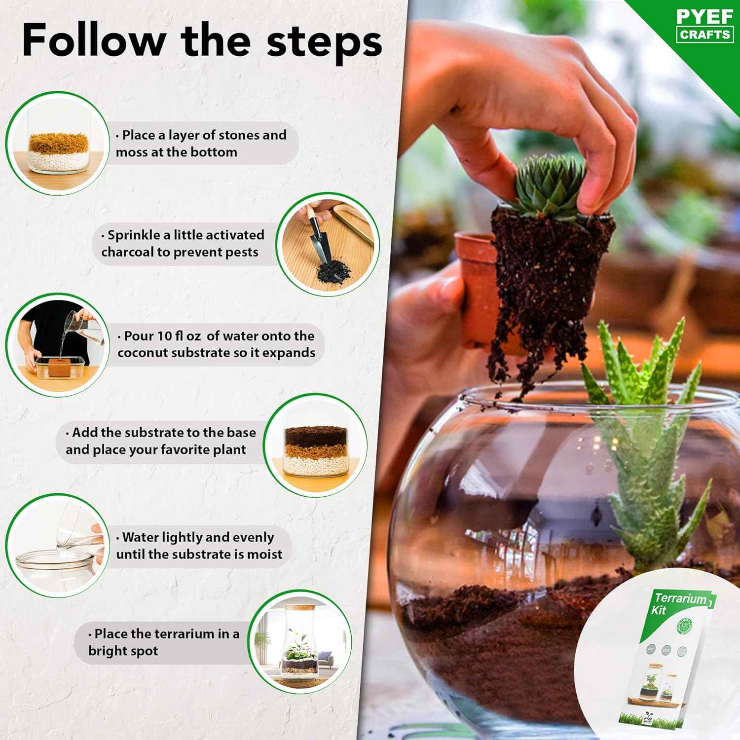 DIY Terrarium Kit for Plants – Build a Self‑Sustaining Closed Ecosystem – Supplies for Up to 68 oz (1‑2 Liter) – Succulents, Air Plants (Tillandsia), Fern – Jar Not Included