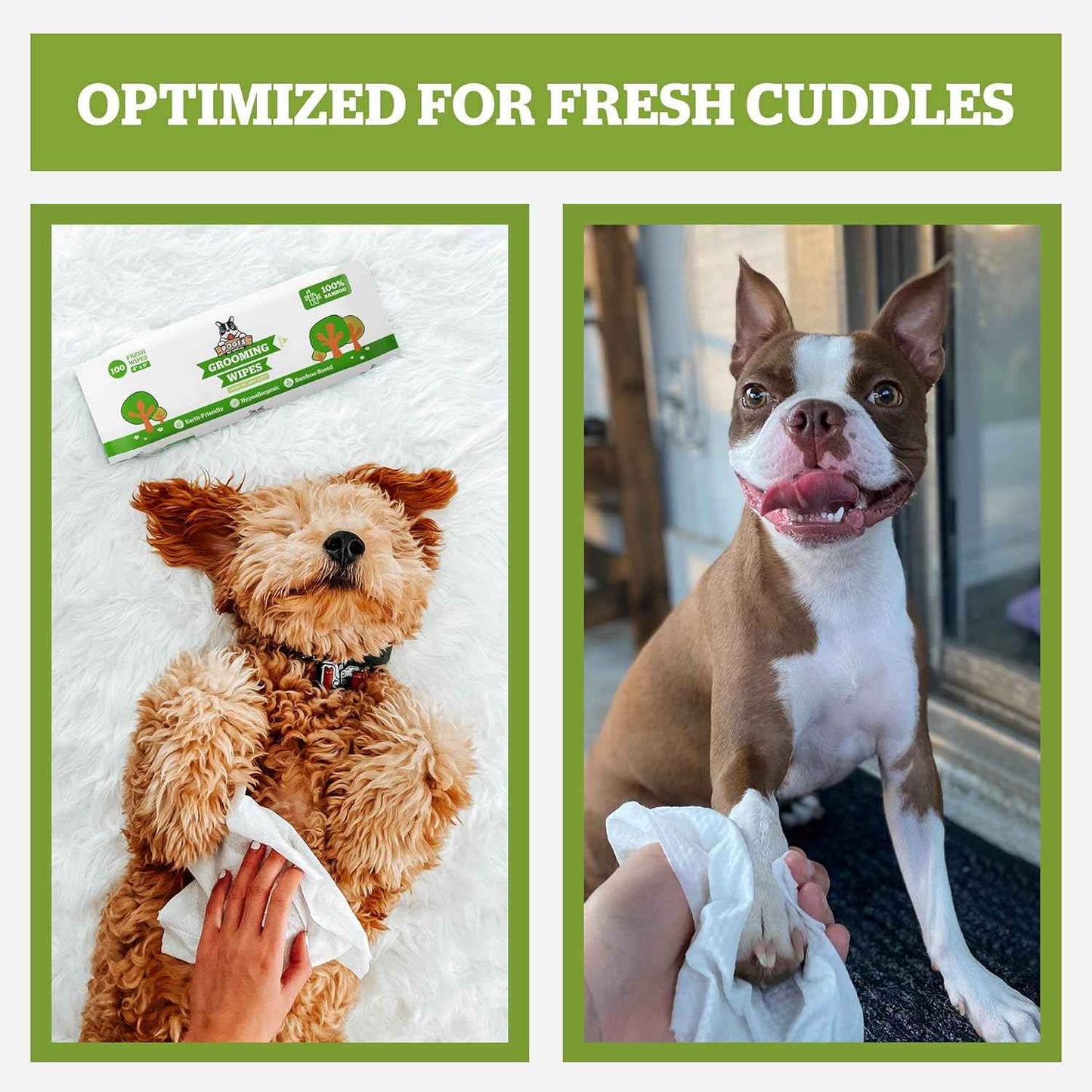Pogi’s Dog Grooming Wipes – Hypoallergenic Pet Wipes for Paws, Body & Butt – Cleaning & Hydrating, Green Tea Scent, 100-Count