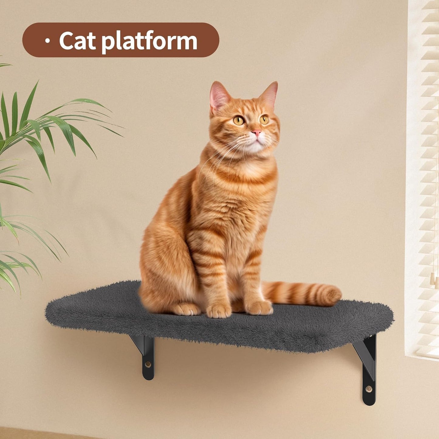 Cat Wall Shelves for Large Cats, Stable & Safe Kitty Walls Furniture Set for 40LBS Cats with Wooden Cat Climber,House, Bridge, Tree, Steps, and Scratcher for 16 Inch Drywall (Black, 6-in-1)