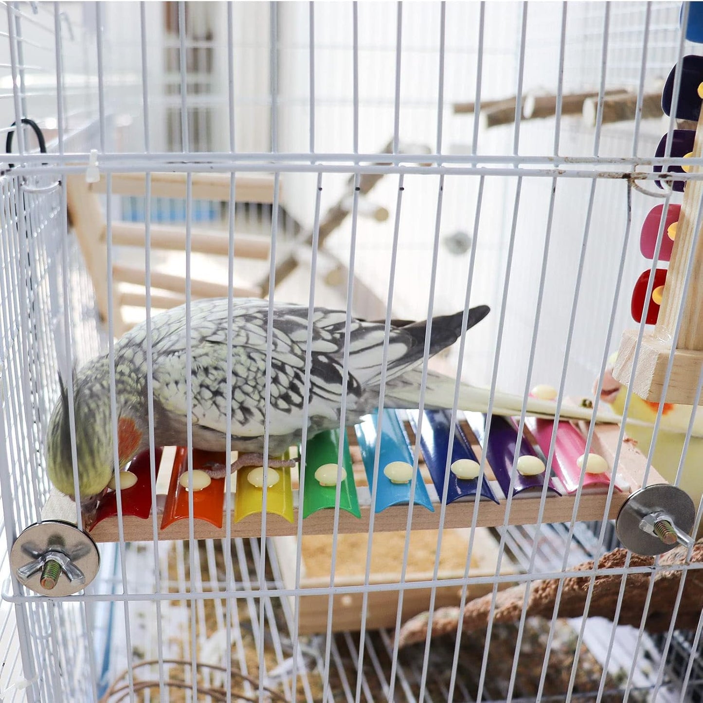 Dnoifne Colorful Xylophone, Funny Xylophone with 8 Metal Keys, Cage Toy Accessories for Parrot, Parakeet, Budgies, Love Birds