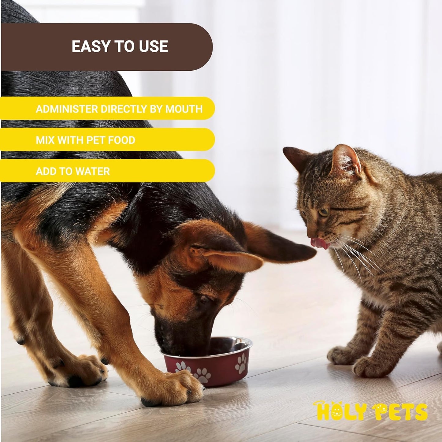 Cough Medicine for Dogs & Cats, Kennel Cough Treatment, Respiratory Infection Support - Sneezing Relief & Cough Treatment - Pet Asthma Support - Made with Natural Ingredients in The USAA