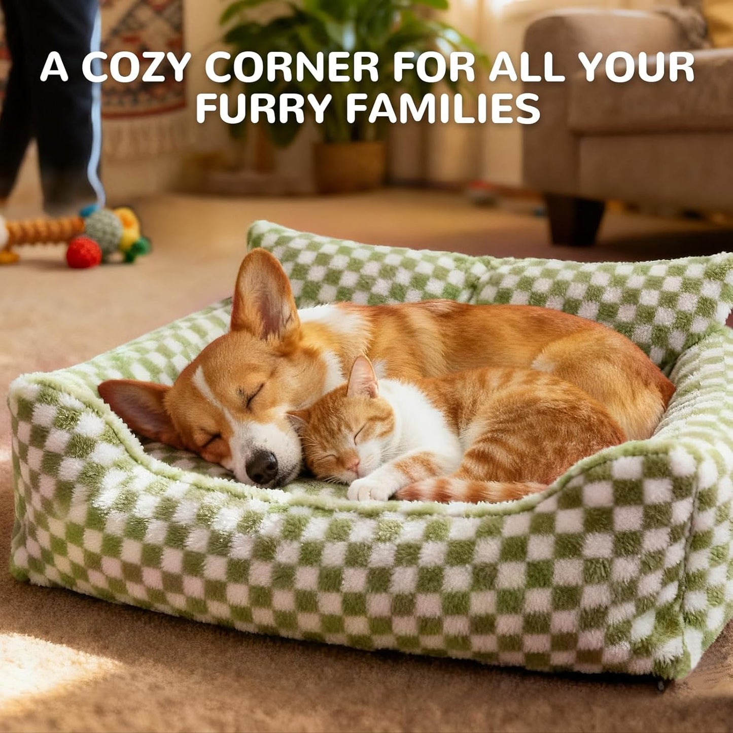Dog Beds for Small Medium Dogs, Washable Soft Fleece Dog Bed with Removable Cover, Puppy Sofa Bed with Anti-Slip Bottom, Pet Sleeping Bed for Indoor Cats & Dogs Under 23 lbs (Grid Breen)
