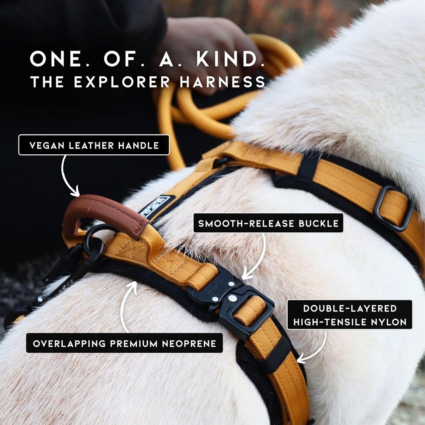 MADE TO ROAM Premium Explorer Harness - Y-Shaped Dog Harness with Adjustable Durable Nylon, Soft Padding, Metal Buckles and Leather Handle for Small, Medium, Large Dogs (Virginia Mountains, Size 2)