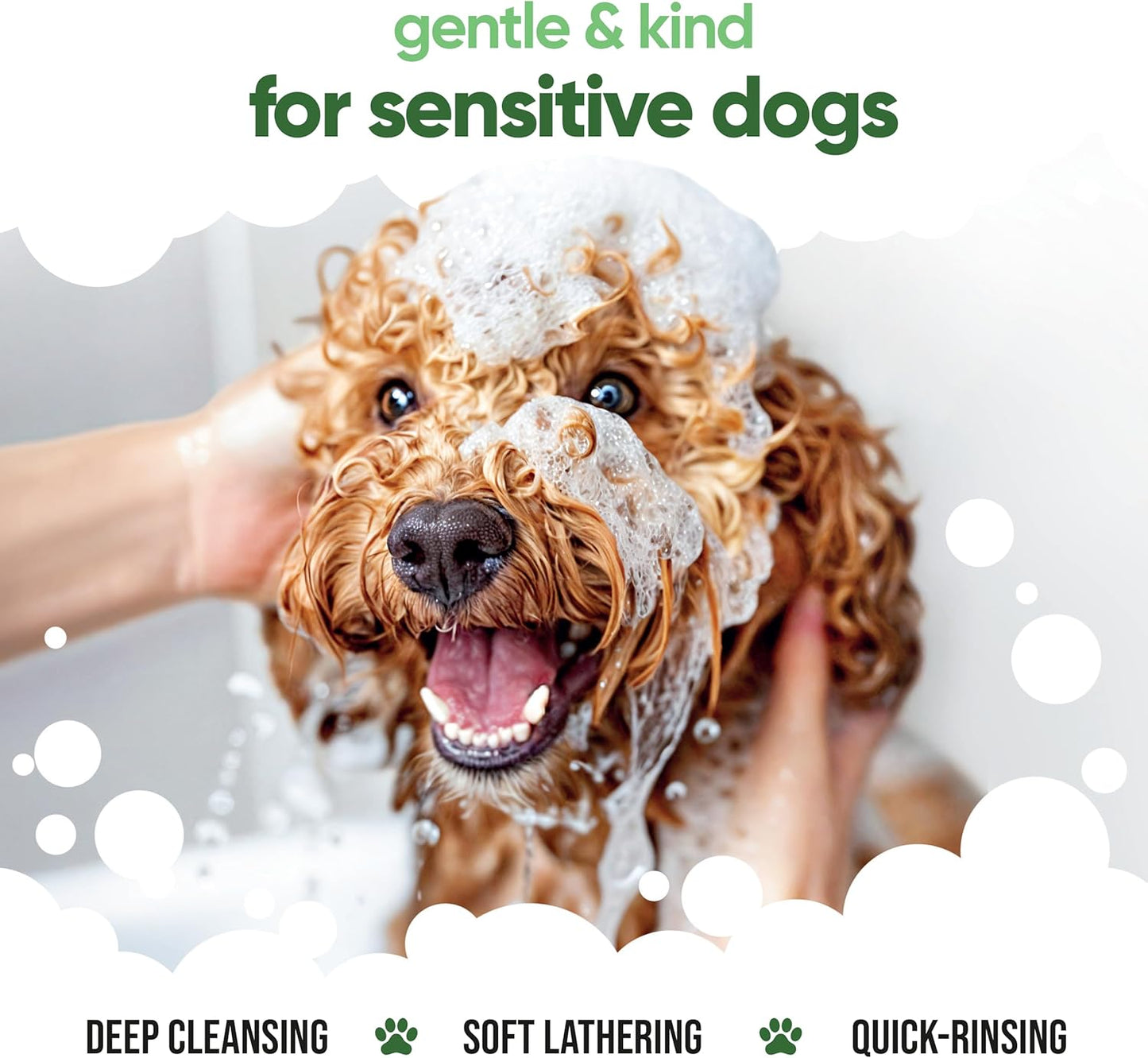 shed Control Dog Shampoo by Buddycare | Dry Skin & Itchy Skin Relief for Smelly Dogs | Deep Cleansing for Dogs Puppy Sensitive Skin | Lemongrass Scented | with Aloe & Vitamin B5 (16.90oz)