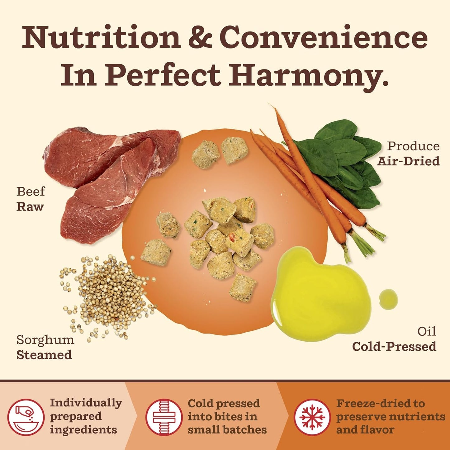 Primal Kibble in The Raw, Freeze Dried Dog Food, Beef, Scoop & Serve, Made with Raw Protein, Whole Ingredient Nutrition, Crafted in The USA, Dry Dog Food 5.4 lb Bag
