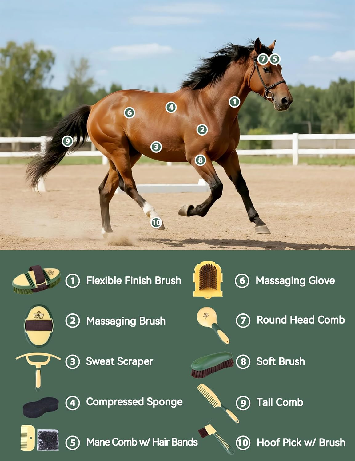 11PCS Horse Grooming Kit Curry Comb Sweat Scraper Horse Bathing Supplies Grooming Tools with Storage Bag Pasture Glow