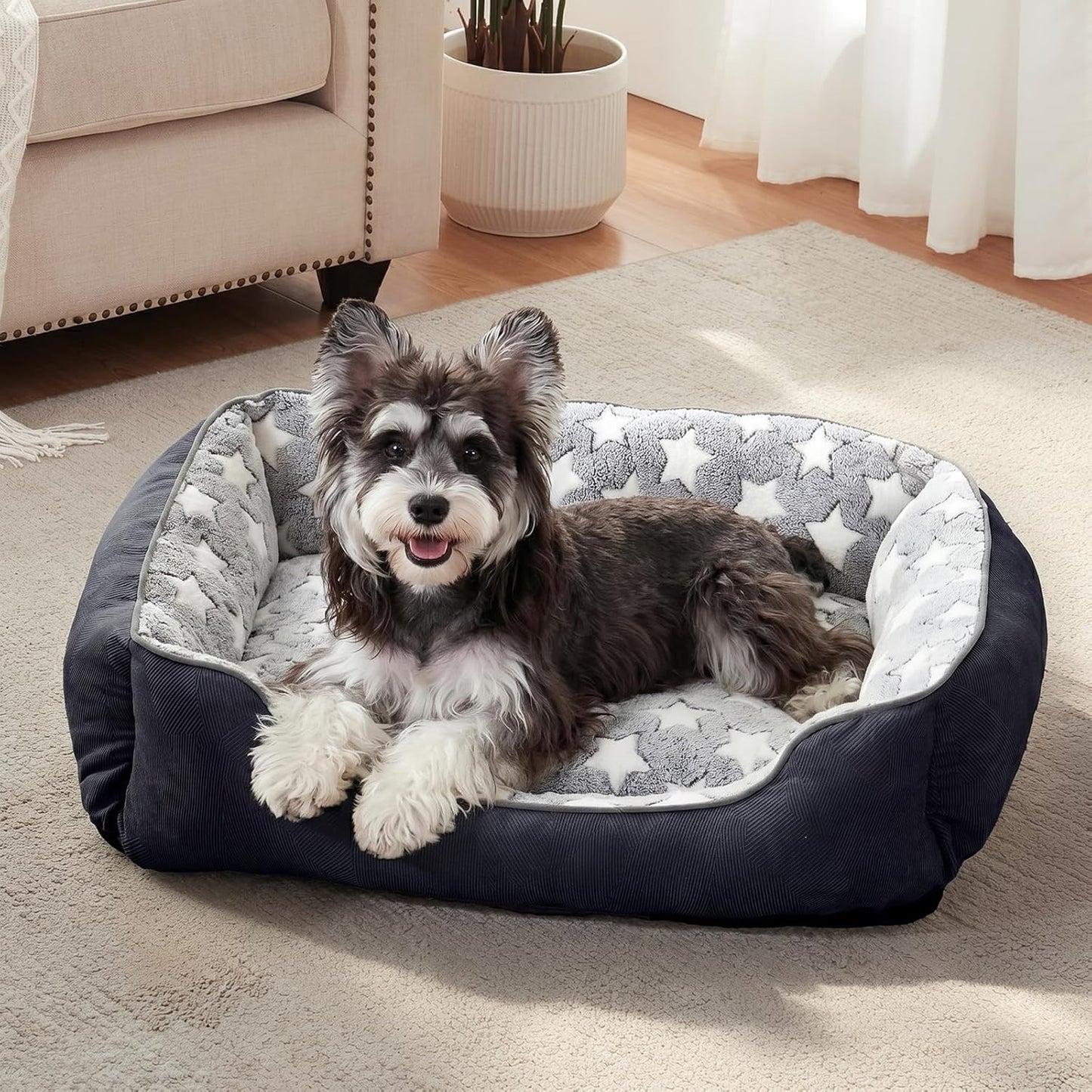 GASUR Small Dog Beds Small Size Dogs, Rectangle Washable Dog Bed, Orthopedic Dogs Sofa Bed, Pet Cuddler Anti-Slip Bottom, Soft Calming Sleeping Warming Puppy Bed (S (20"x 19"x 6"), Black)