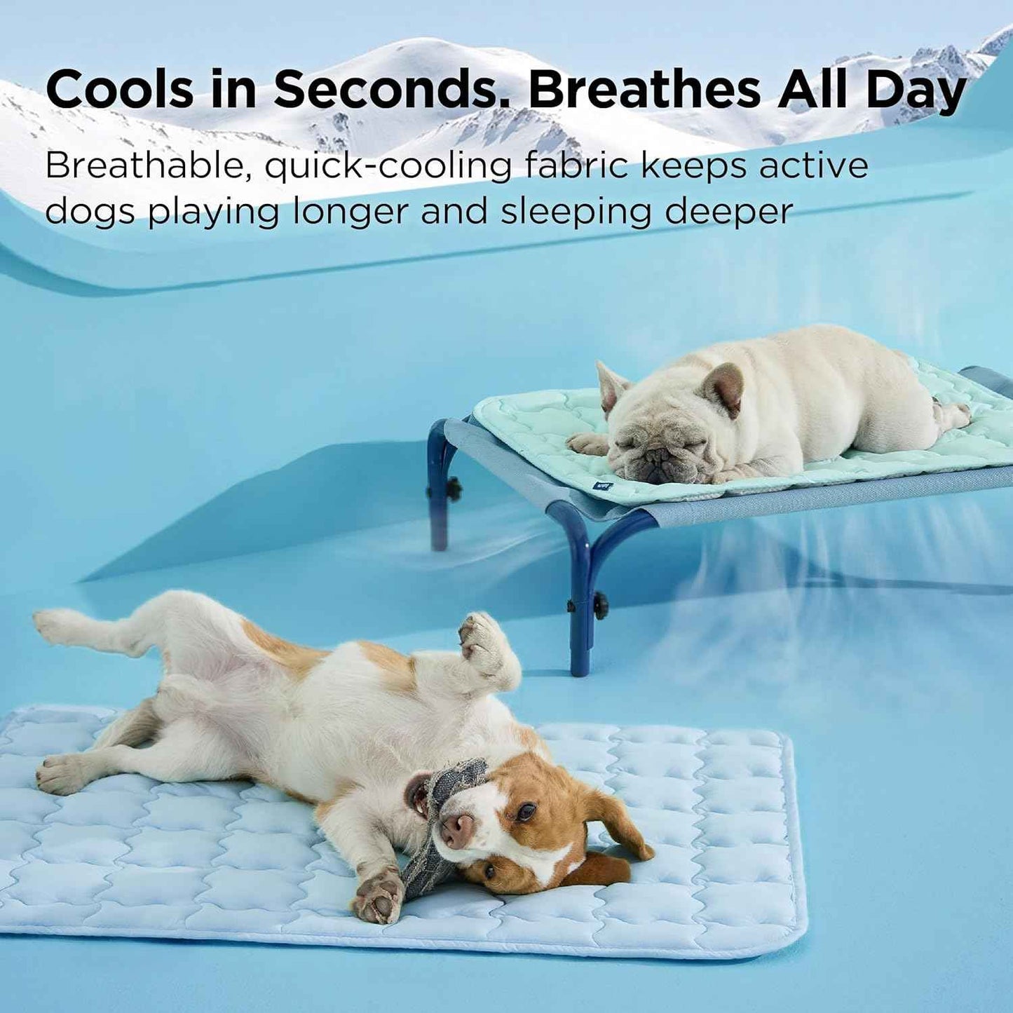 Bedsure Cooling Dog Mat Extra Large, Q-Max>0.5 XL Thin Breathable Cold Crate Pad for Pet, Portable Washable Kennel Bed for Summer Active Dog with Chill Soothing Fabric to Rapid Cooling, 41x28, Blue