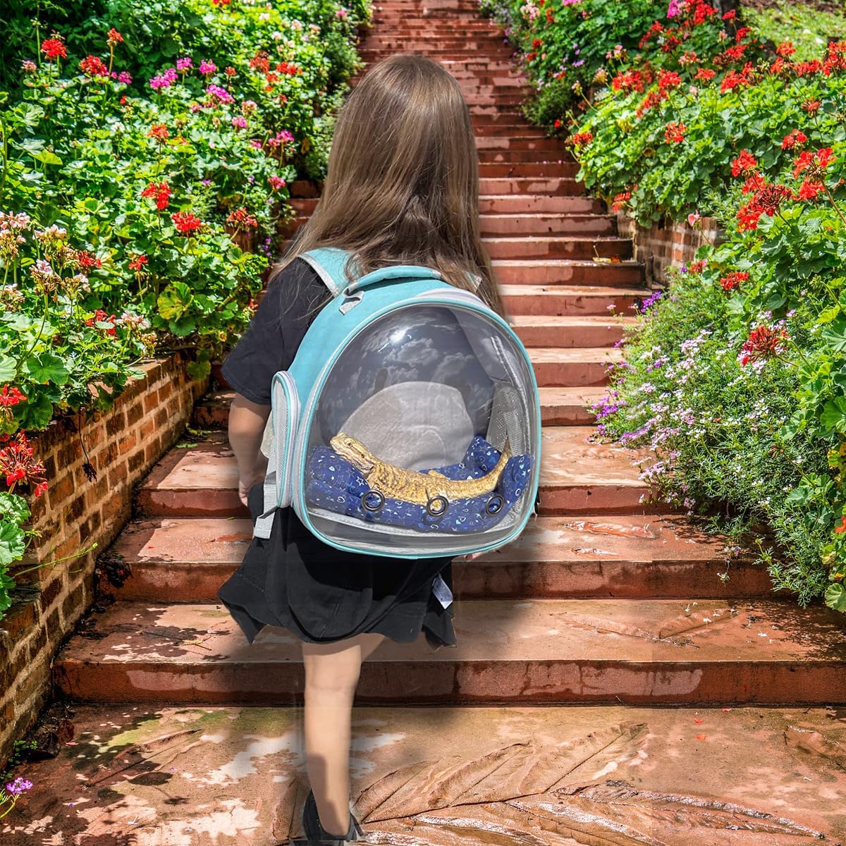 Bearded Dragon Travel Backpack with Harness and Leash Set,Lizard Backpack Travel Carrier,Space Capsule Clear Bubble Window Astronaut Reptile Carrier Backpack for Kids, Airline Approved