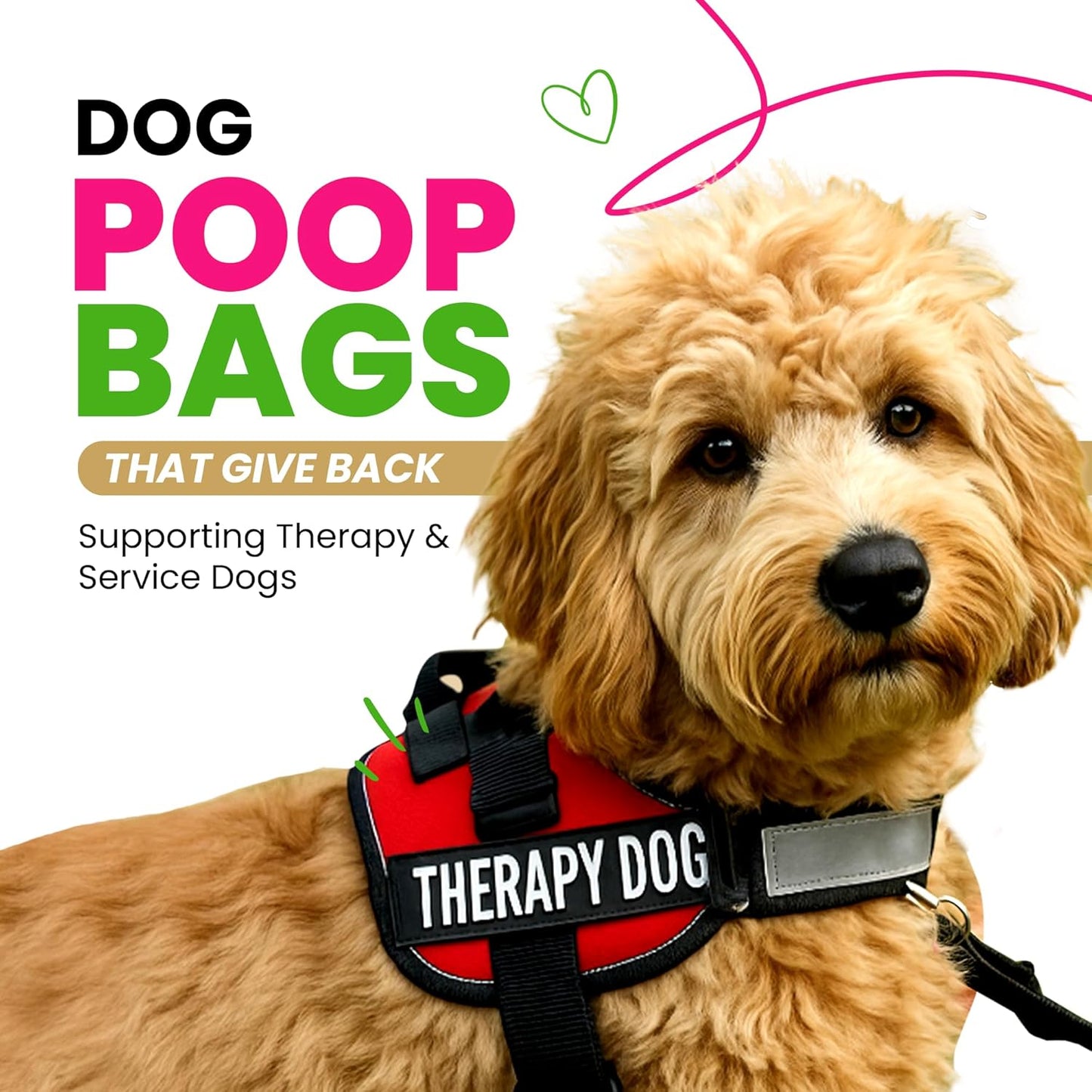 Dog Poop Bags 120 Count – Leakproof, Extra Thick & Easy Open | Unscented Plant-Based | Hey Stinky (8 Rolls)