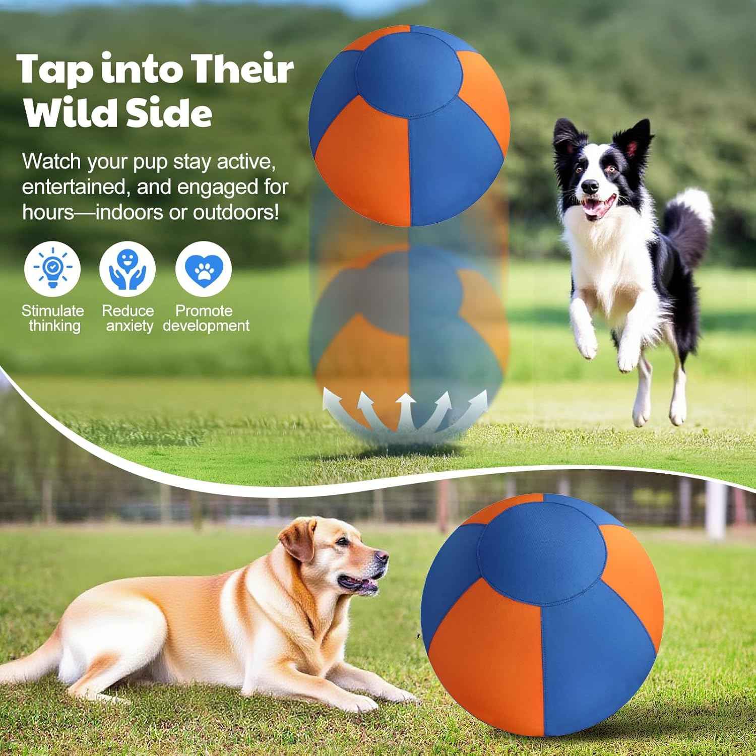 Herding Ball for Dogs - Durable Waterproof Dog Toy, Dual-Layer Large Interactive Pet Play Ball for Australian Shepherds, Cattle Dogs, Collies, and All Herding Breeds (2.5')
