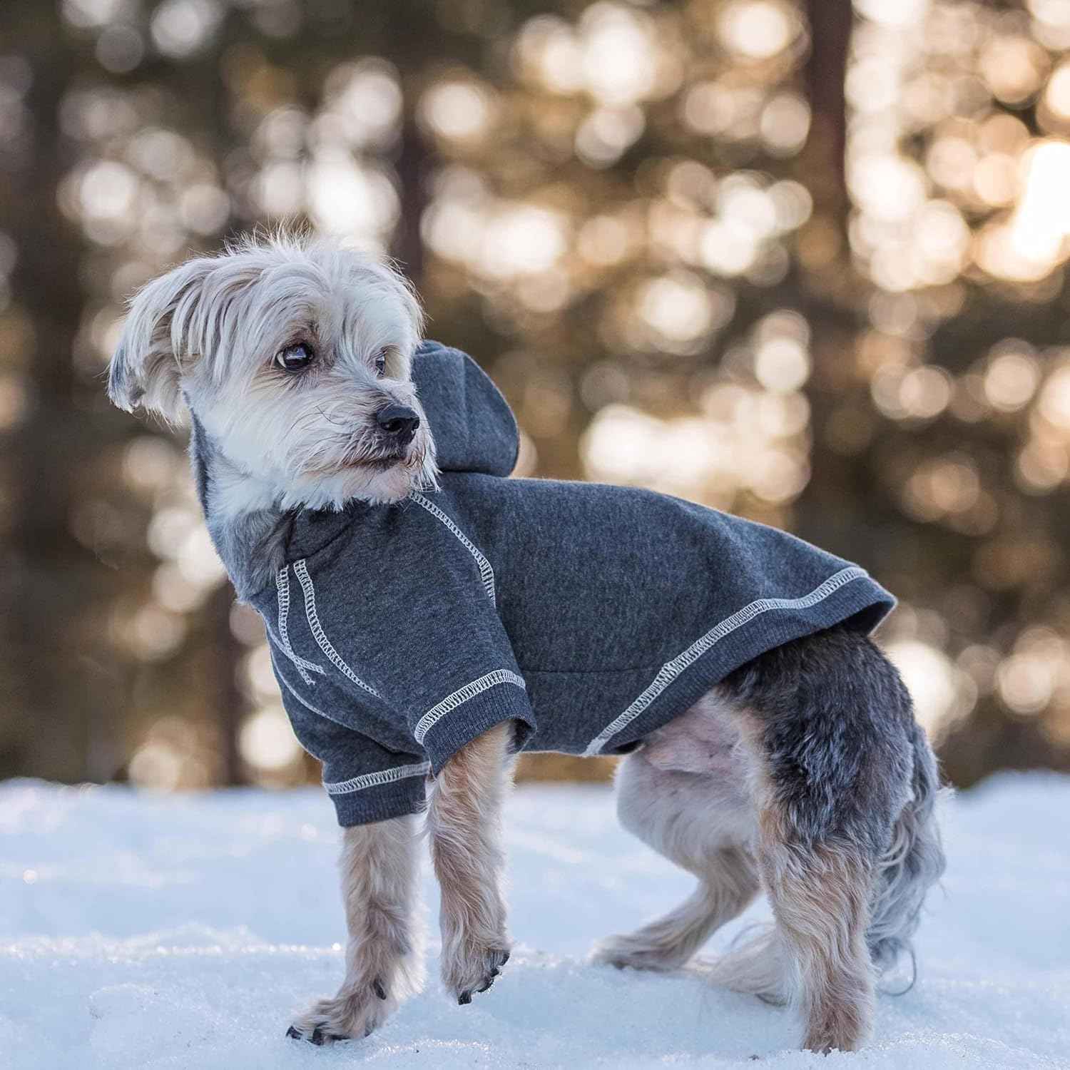 Blueberry Pet Essentials Soft & Comfy Better Basic Cotton Blend Dog Hoodie Sweatshirt in Charcoal Grey, Back Length 20", Pack of 1 Jacket for Dogs