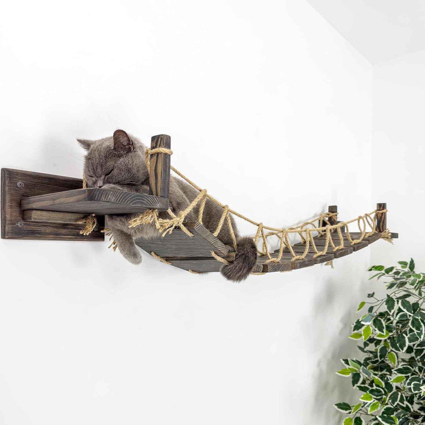 Wall-Mounted Roped Bridge, Shelves and Perches for Wall, Cloud Shelf Board, Cat Hammock, Cat Climber, Length 46 inches (Brown)